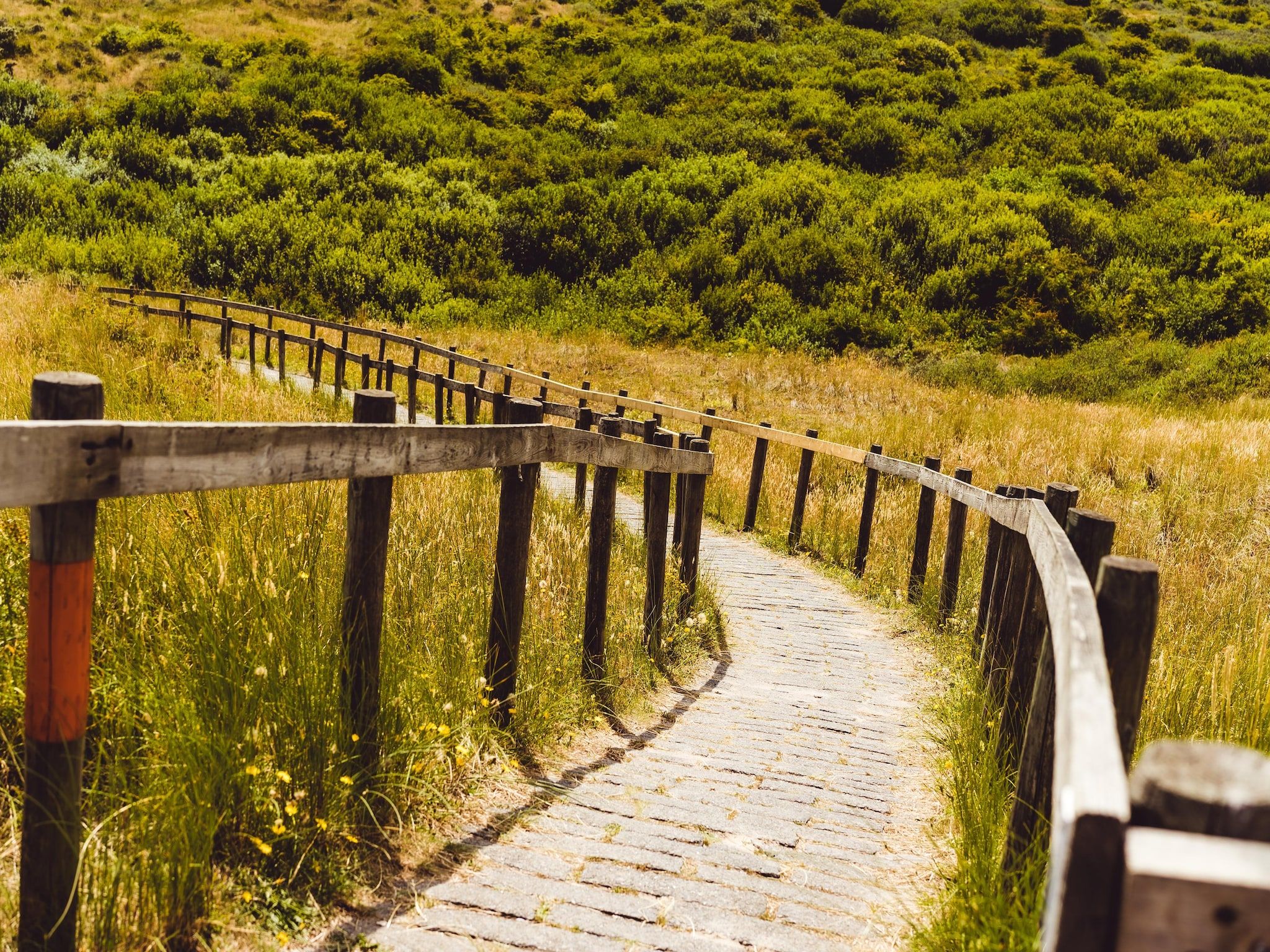 De omgeving van Vakantiepark Boomhiemke 19 in Hollum