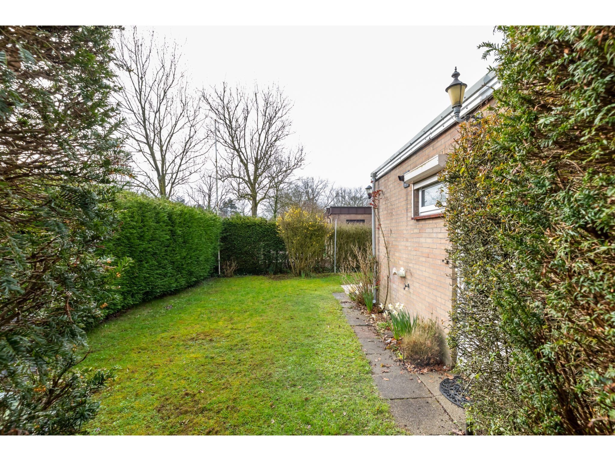 De tuin van Koekoesbloemwei 90 in Kortgene