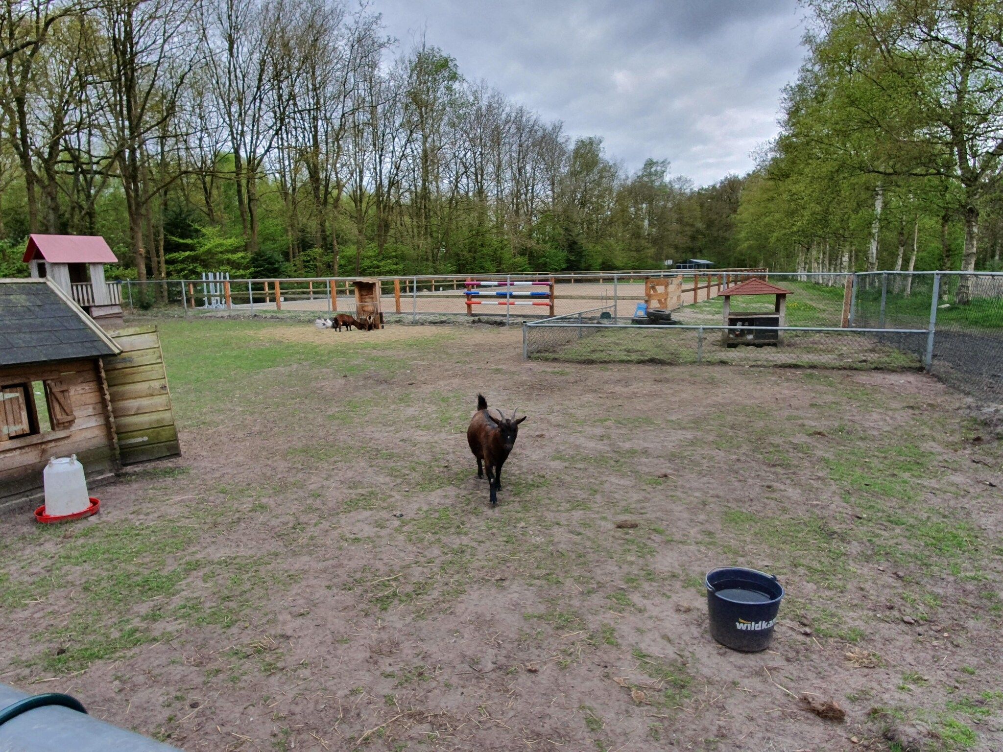 Parkfaciliteiten bij Elperhof Veldlodge in Schoonloo