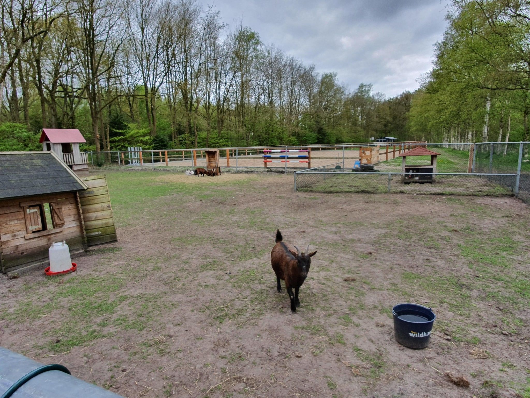 Parkfaciliteiten bij Elperhof Veldlodge in Schoonloo