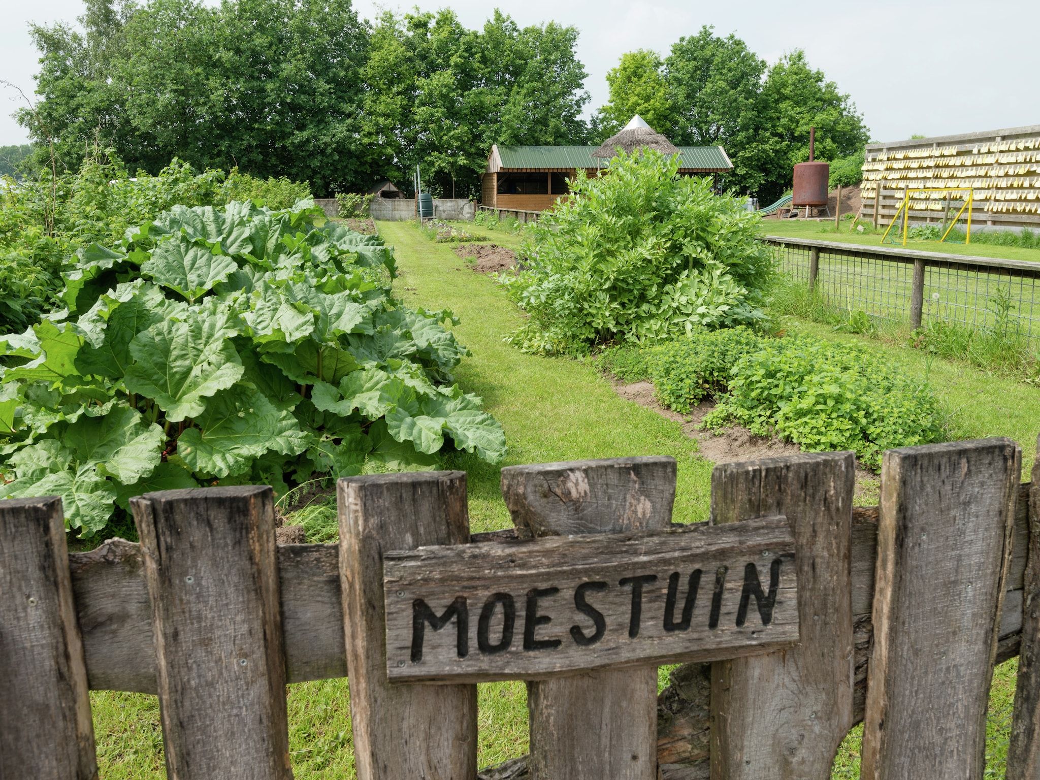 De tuin van Koe in de Kost 4 in Heeten