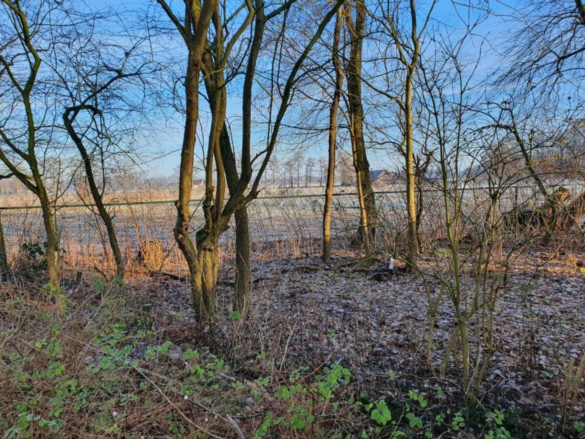 Koe in de Kost 4 in Heeten - Foto 32 van 40