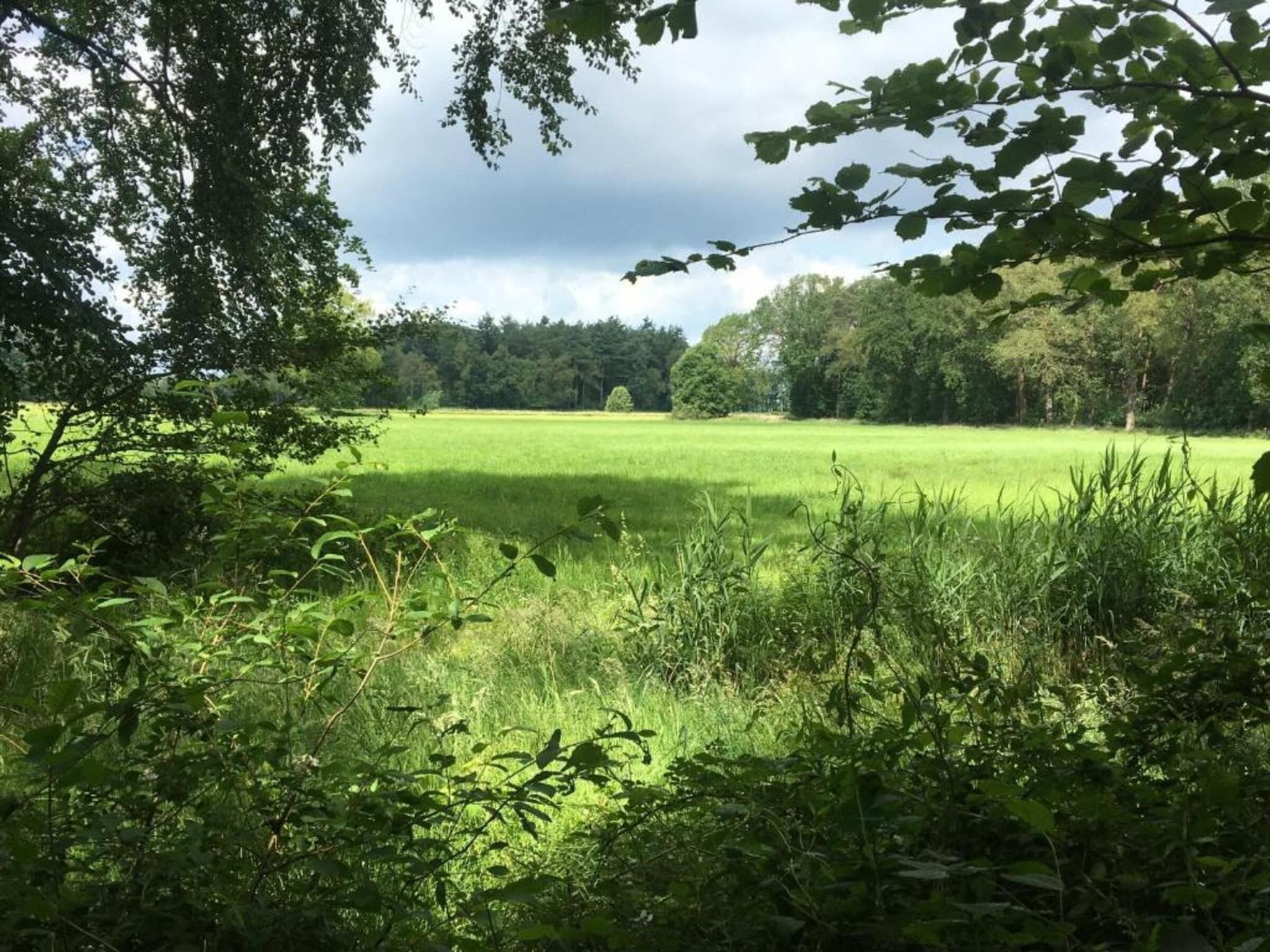 Koe in de Kost 4 in Heeten - Foto 33 van 40