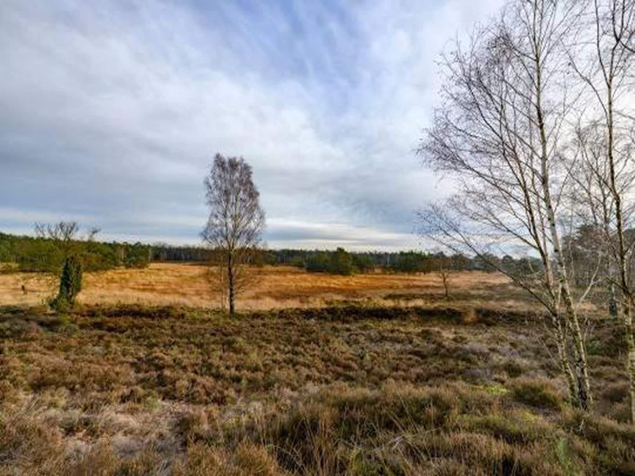 Bospark de Schaapskooi 10 in Wissel/Epe - Foto 38 van 40