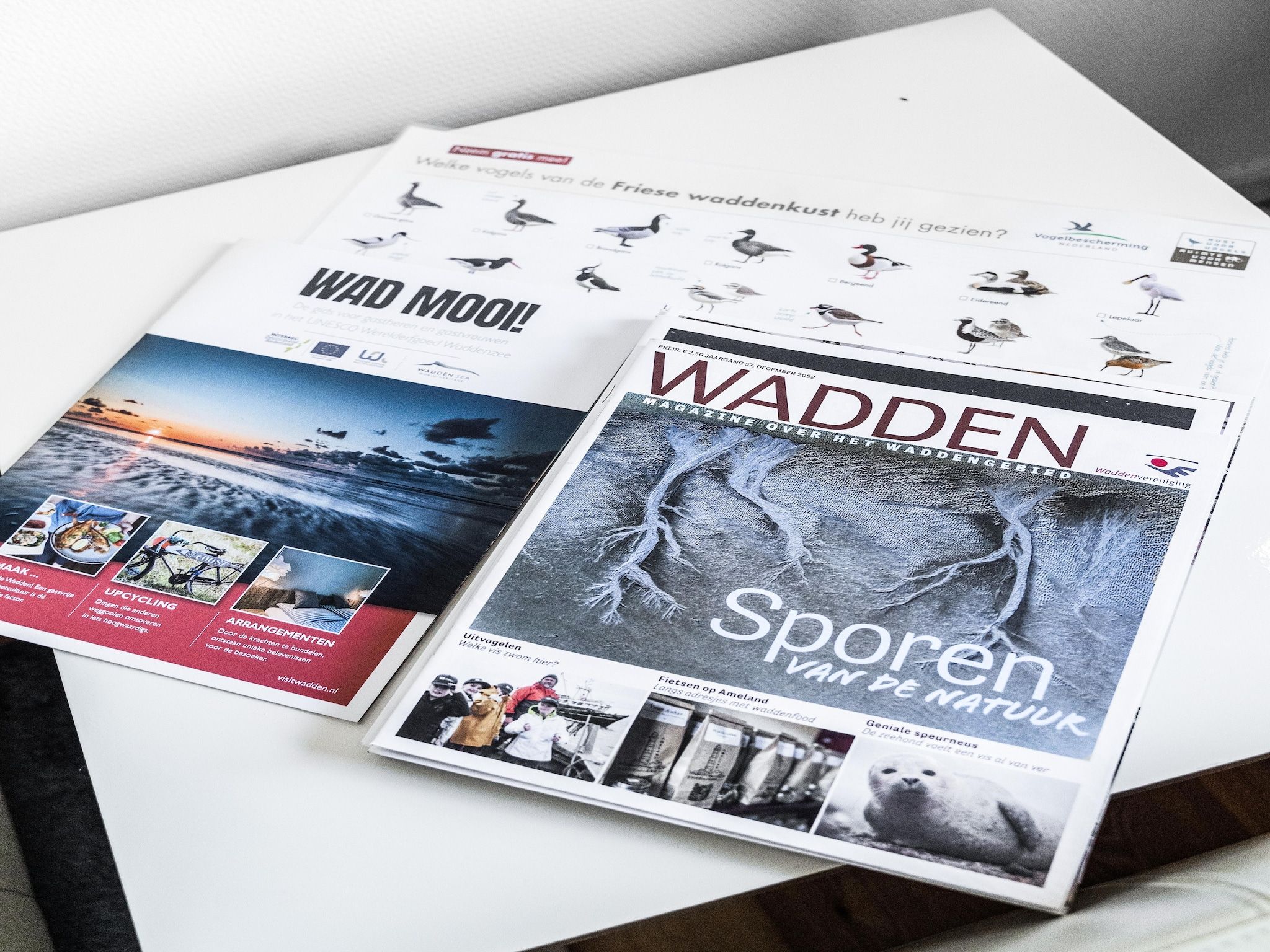 Sfeerbeeld van Wad’n Leven in Paesens