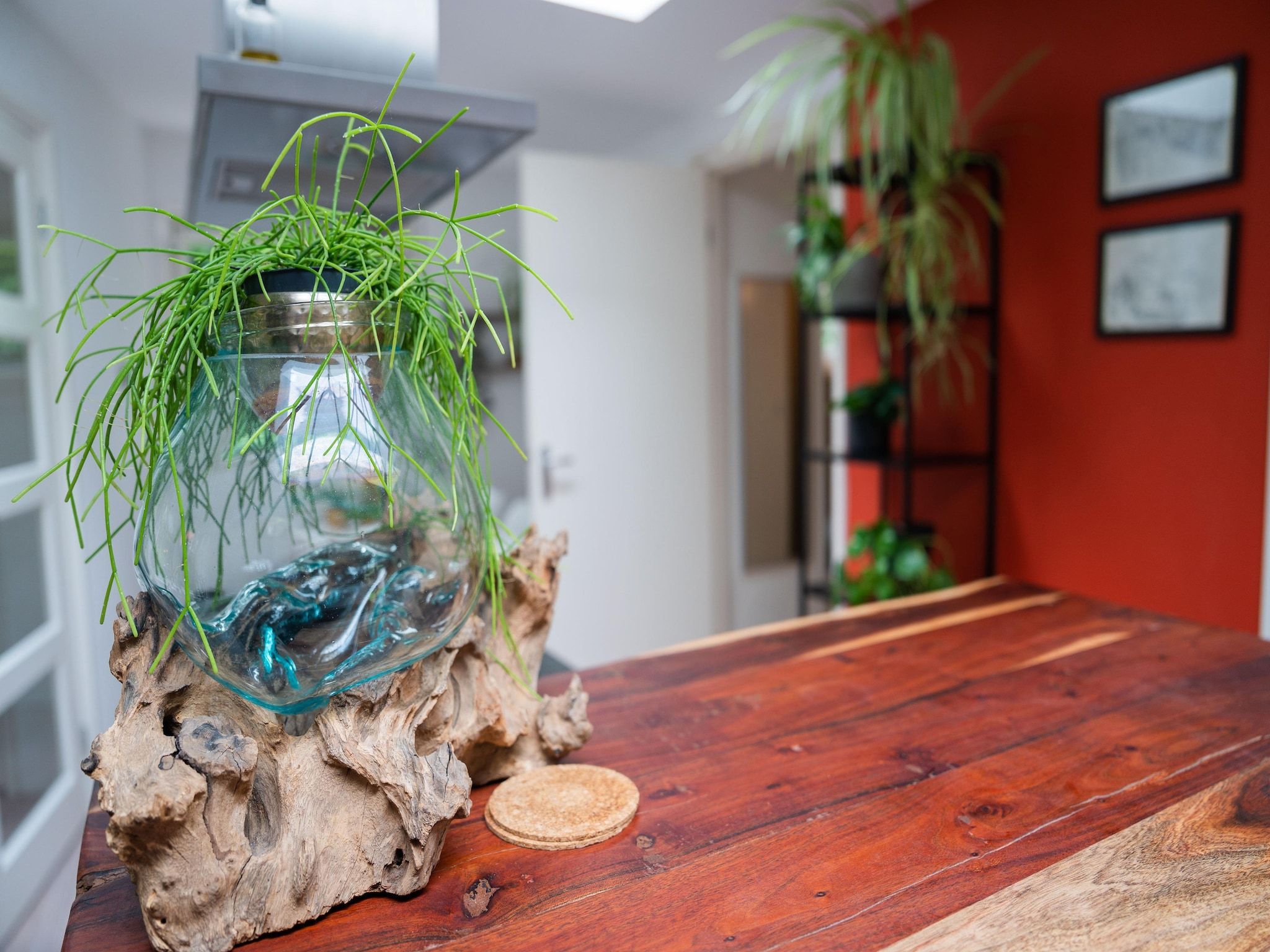 Sfeerbeeld van De Klimroos in Bergen