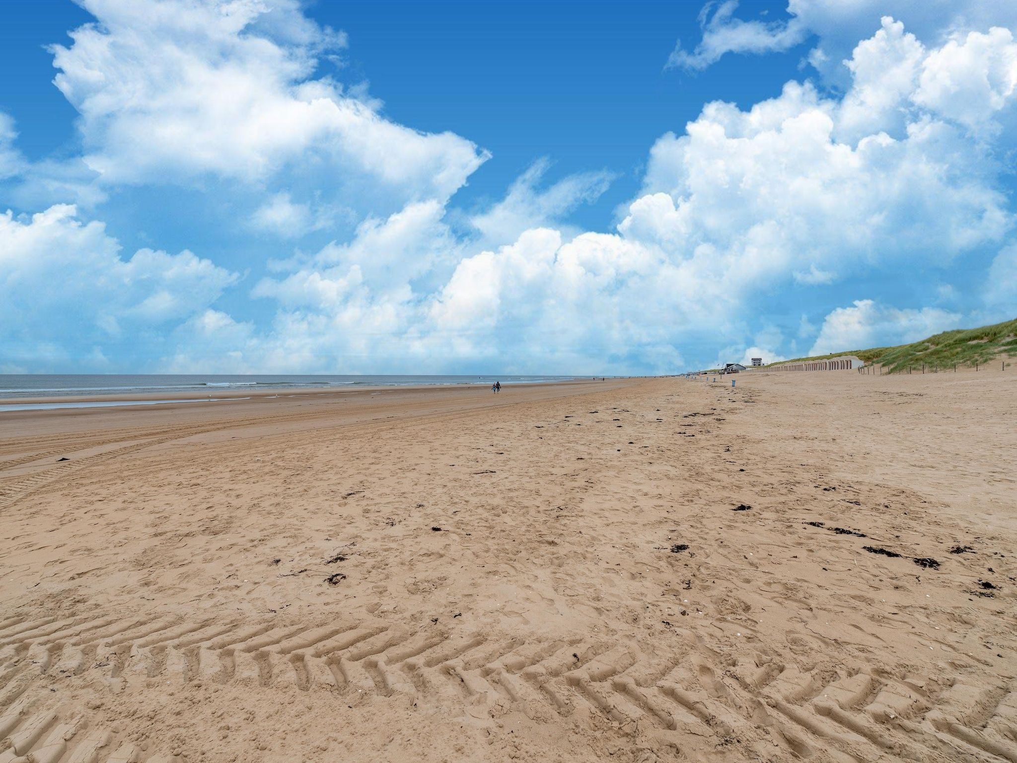De omgeving van De Klimroos in Bergen