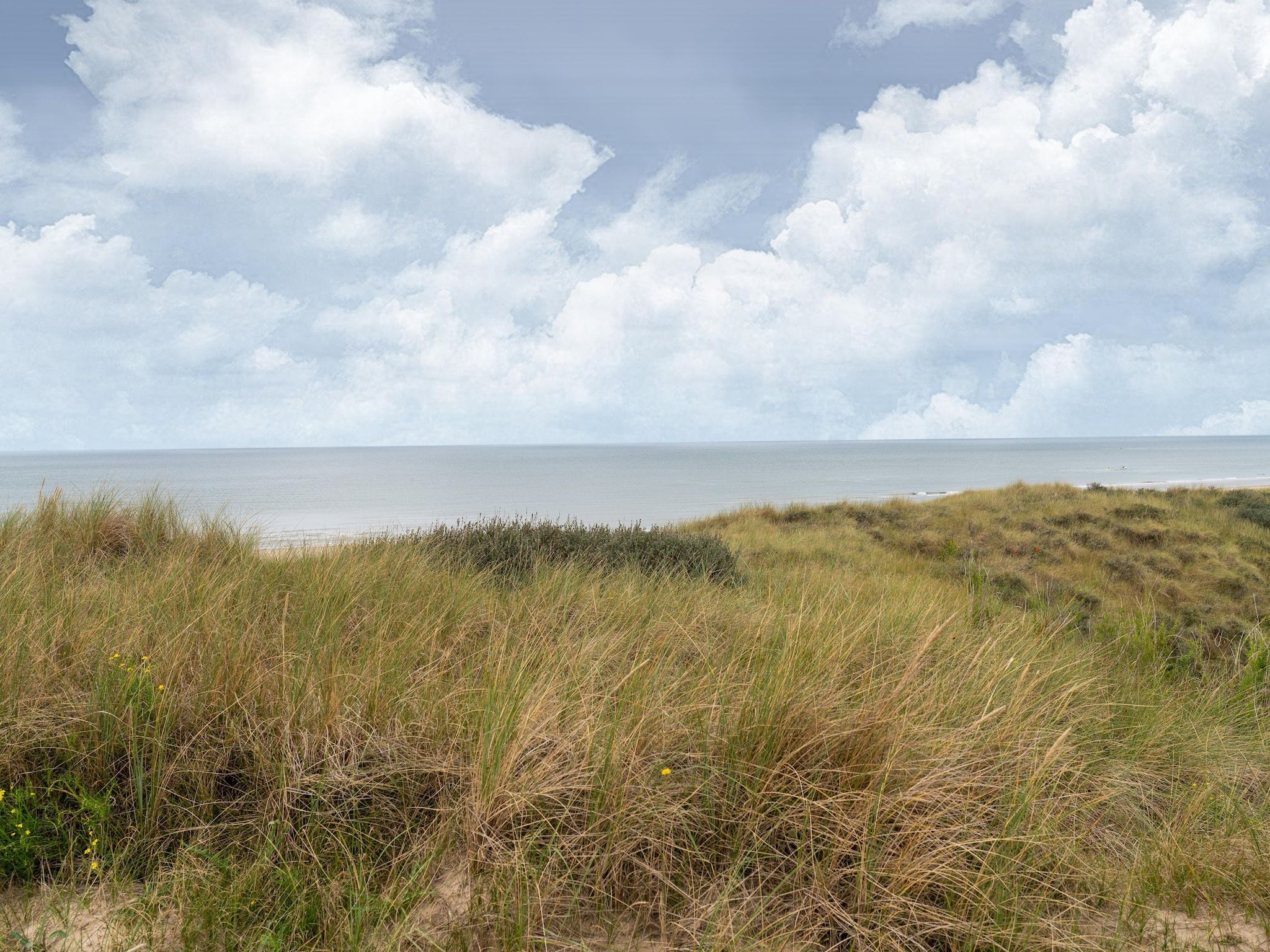 De Klimroos in Bergen - Foto 38 van 40