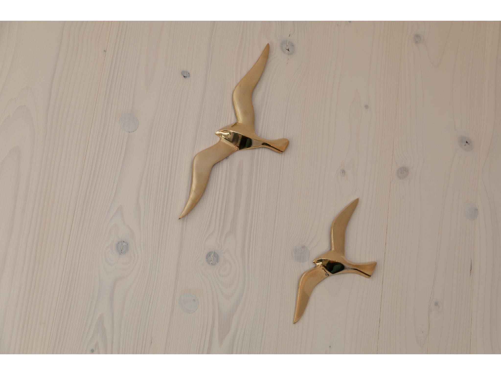 Sfeerbeeld van Tinyhouse La Mouette in Zoutelande