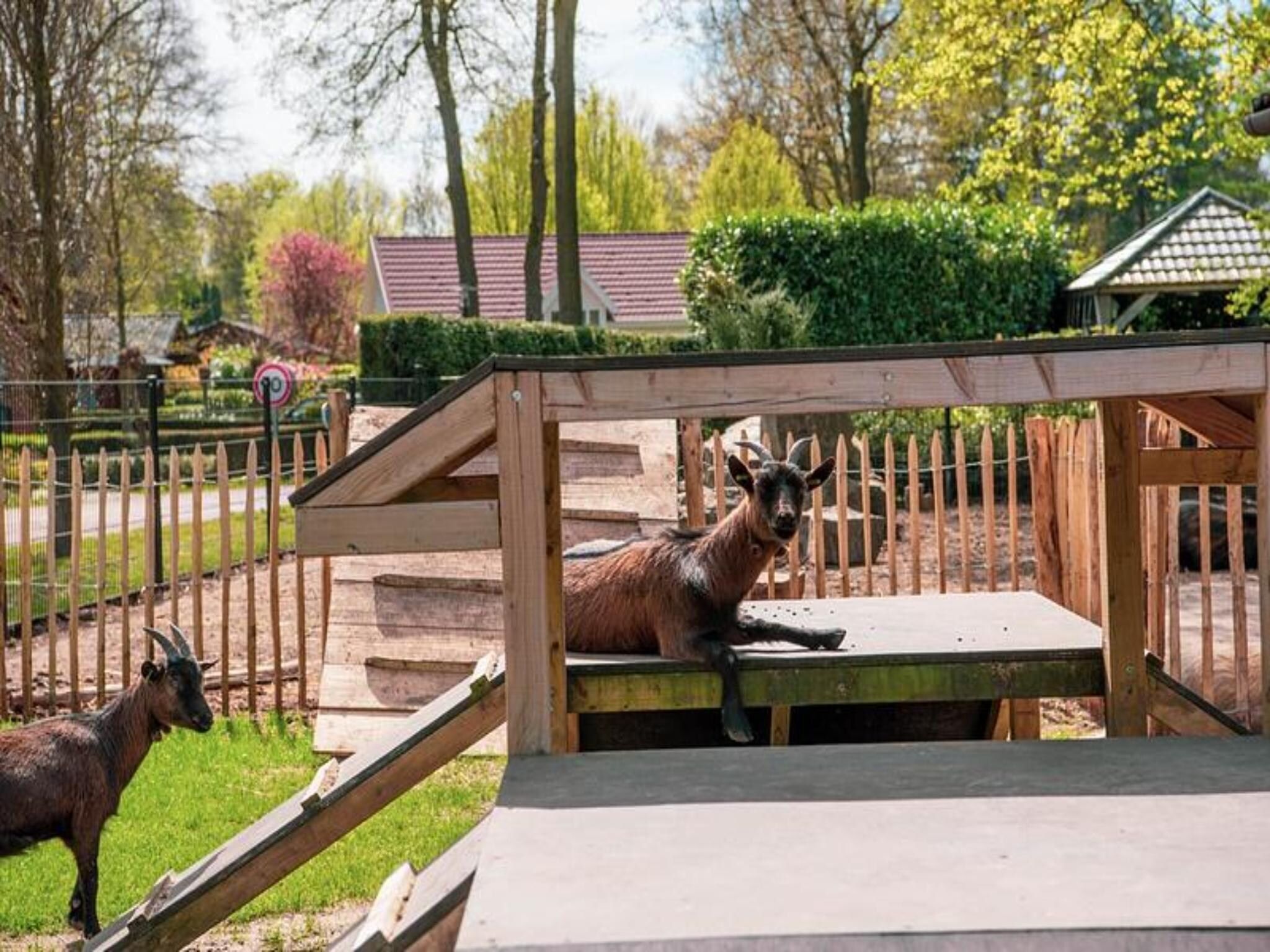Sfeerbeeld van De&nbsp;Wiersse&nbsp;8 in Lochem