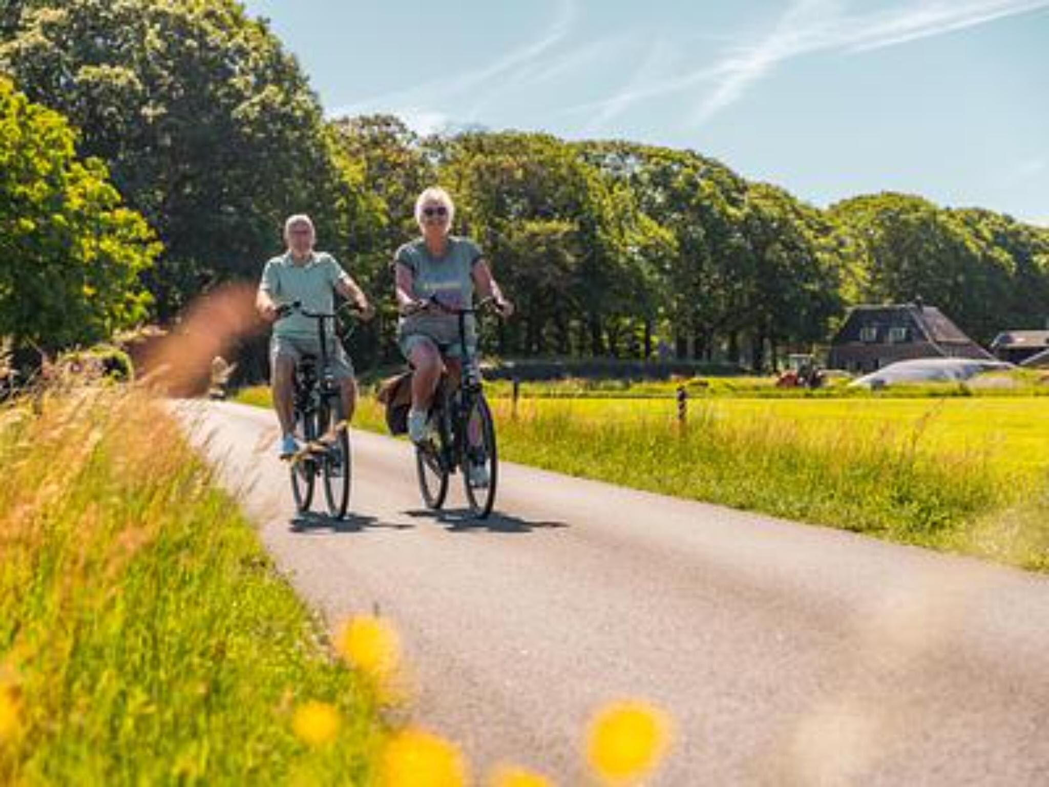 De omgeving van De&nbsp;Wiersse&nbsp;8 in Lochem