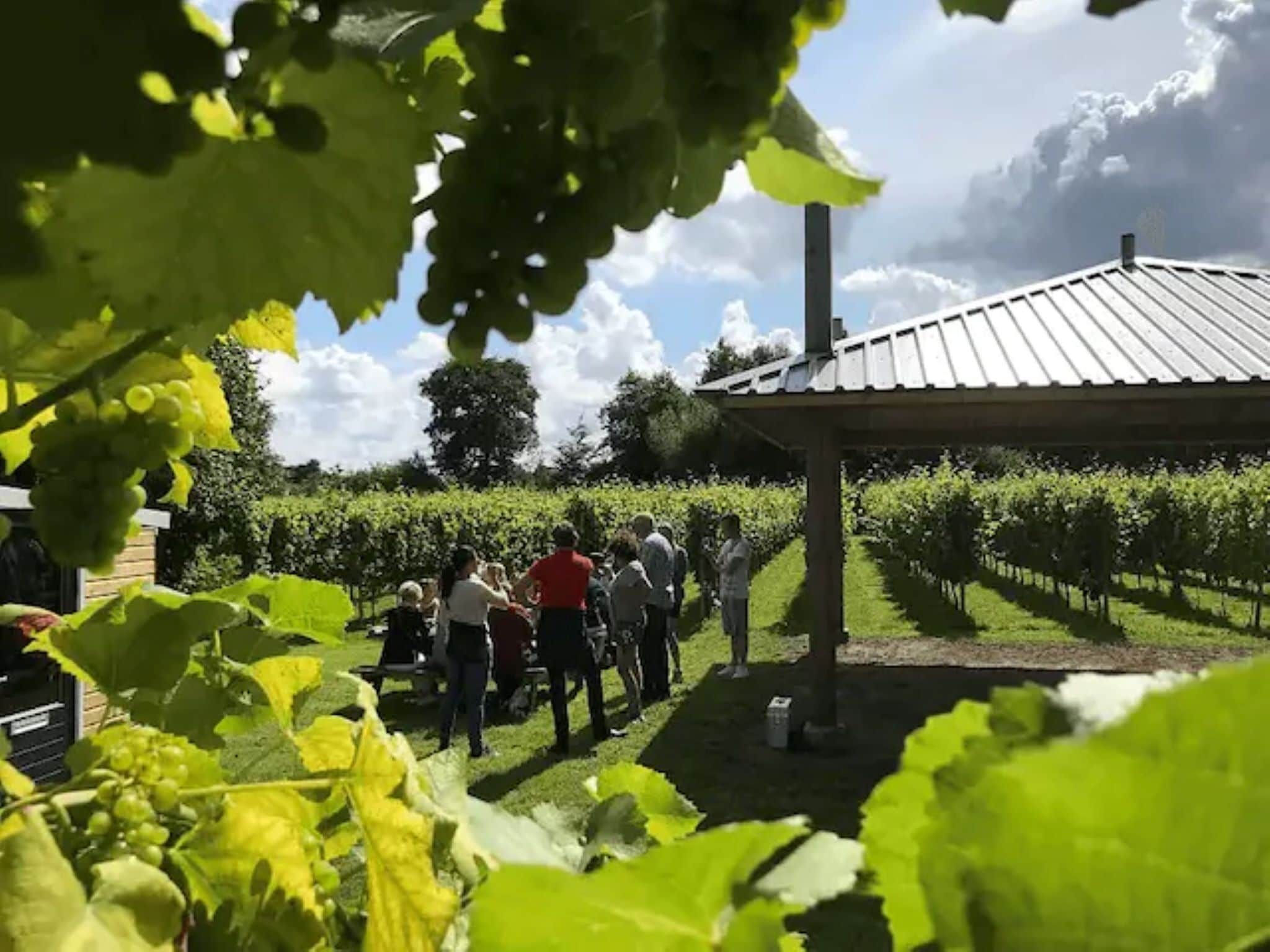 Glamour tent 'Kreas'" in Twijzel - Foto 33 van 41