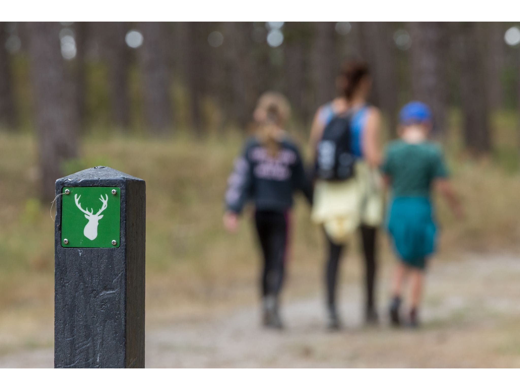 Kloosterweg 85 in Burgh Haamstede - Foto 32 van 40