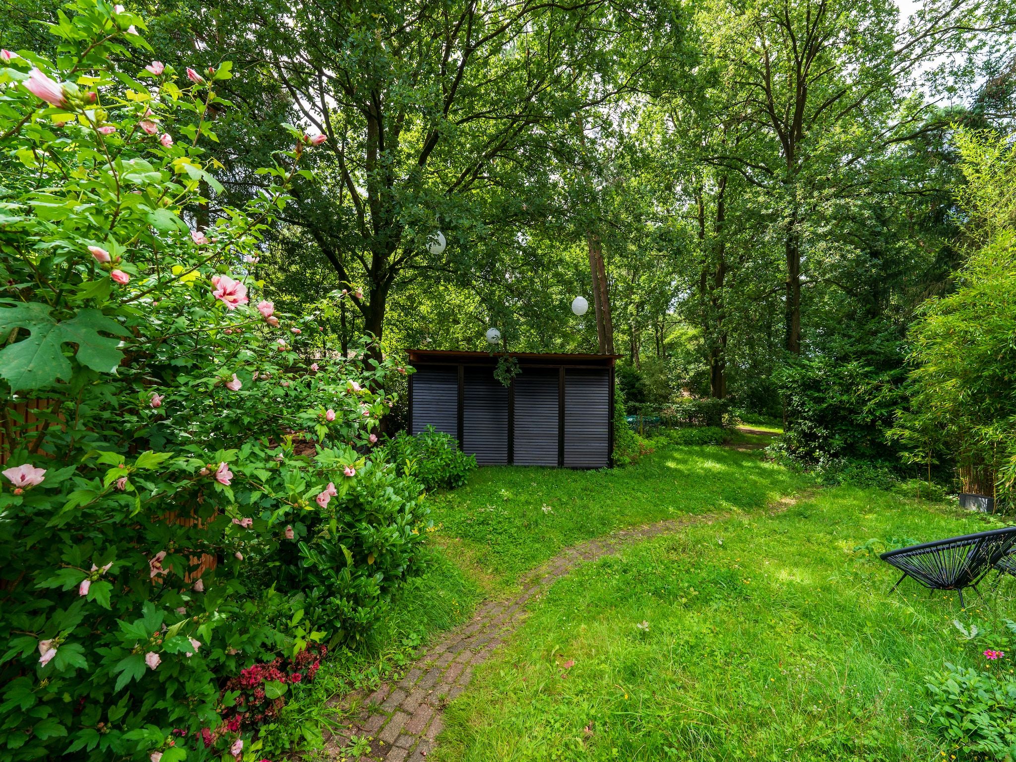 De tuin van Wellnes suite in Zelhem