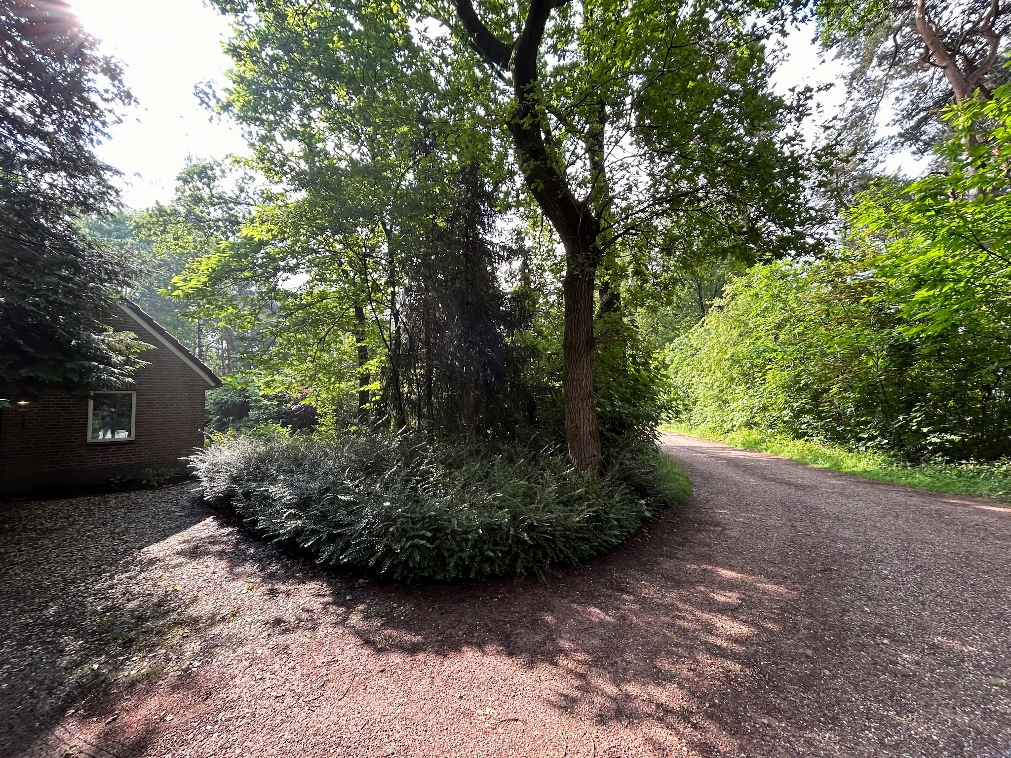 De omgeving van Wellnes suite in Zelhem