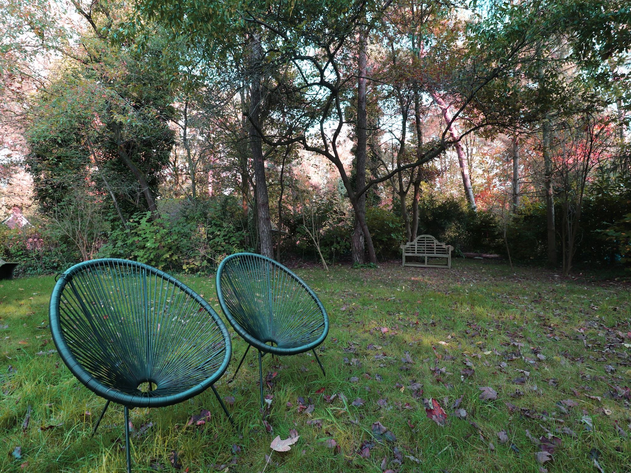 De tuin van Wellnes suite in Zelhem