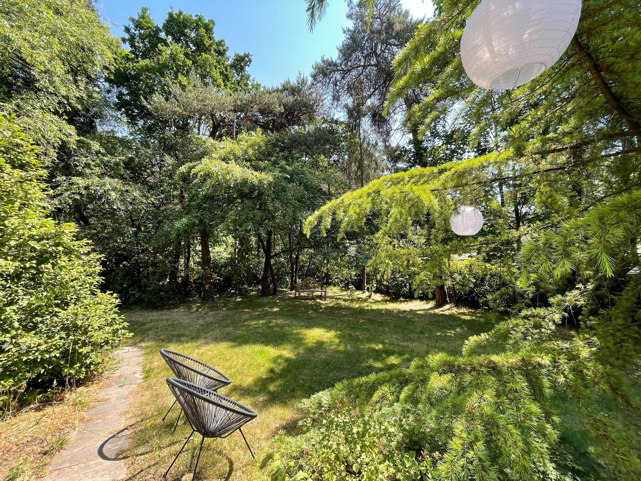 Het uitzicht vanaf Bos suite in Zelhem