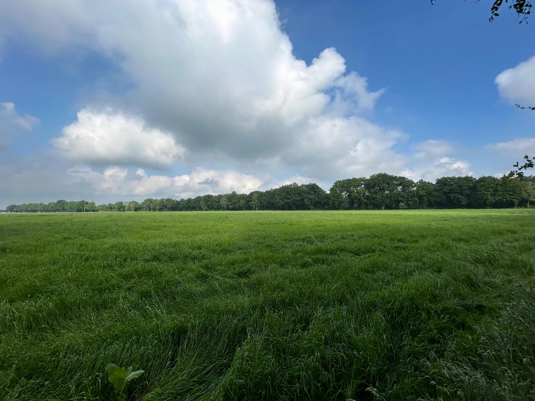 De omgeving van Duo Suite wellness in Zelhem