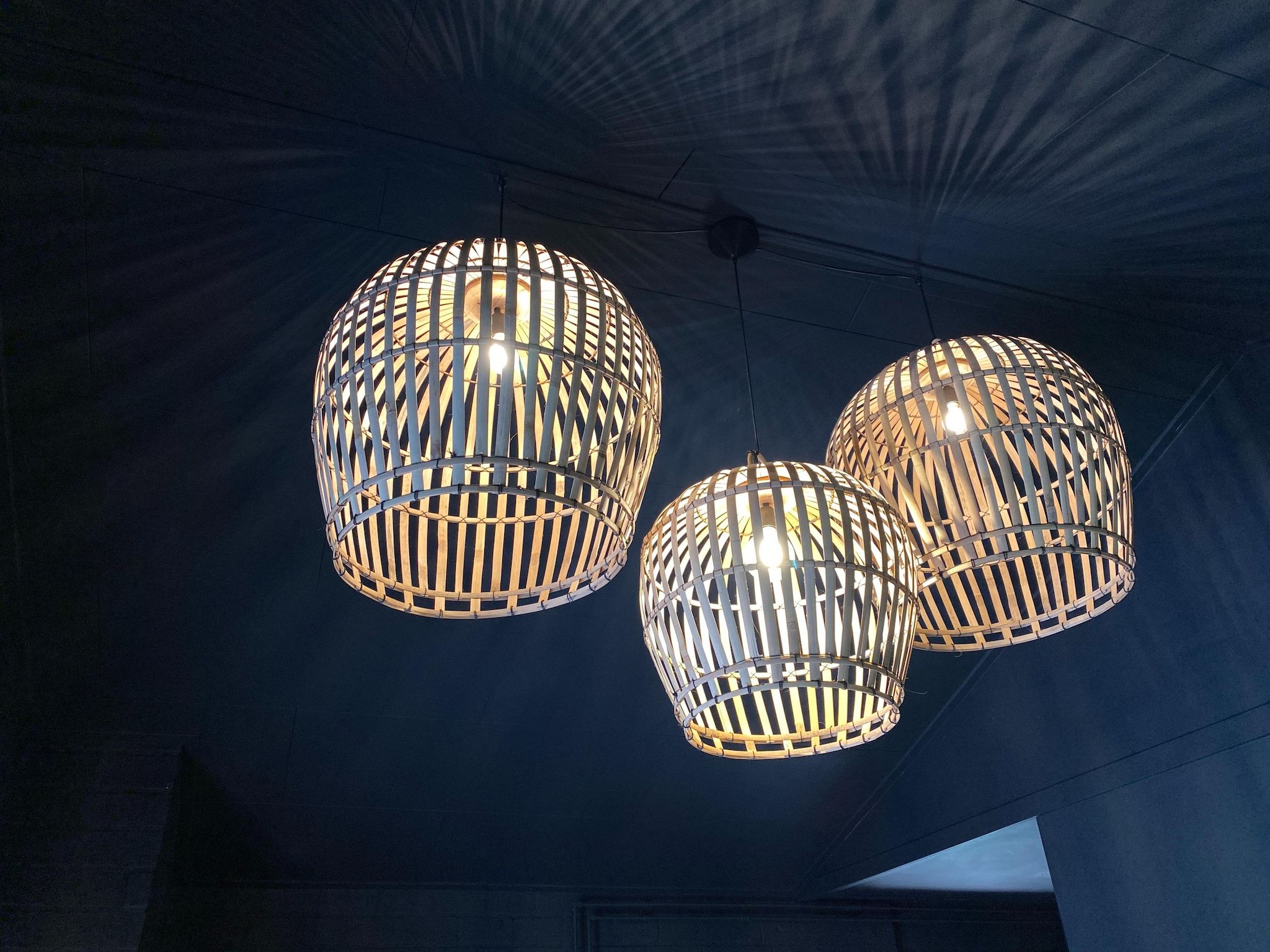 Sfeerbeeld van Dutch Cabin Houses C65 in Rheezerveen