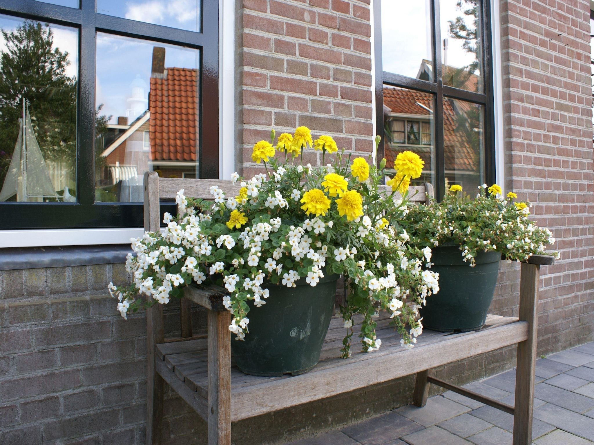Sfeerbeeld van Wad'n Leven en Geluk in Paesens