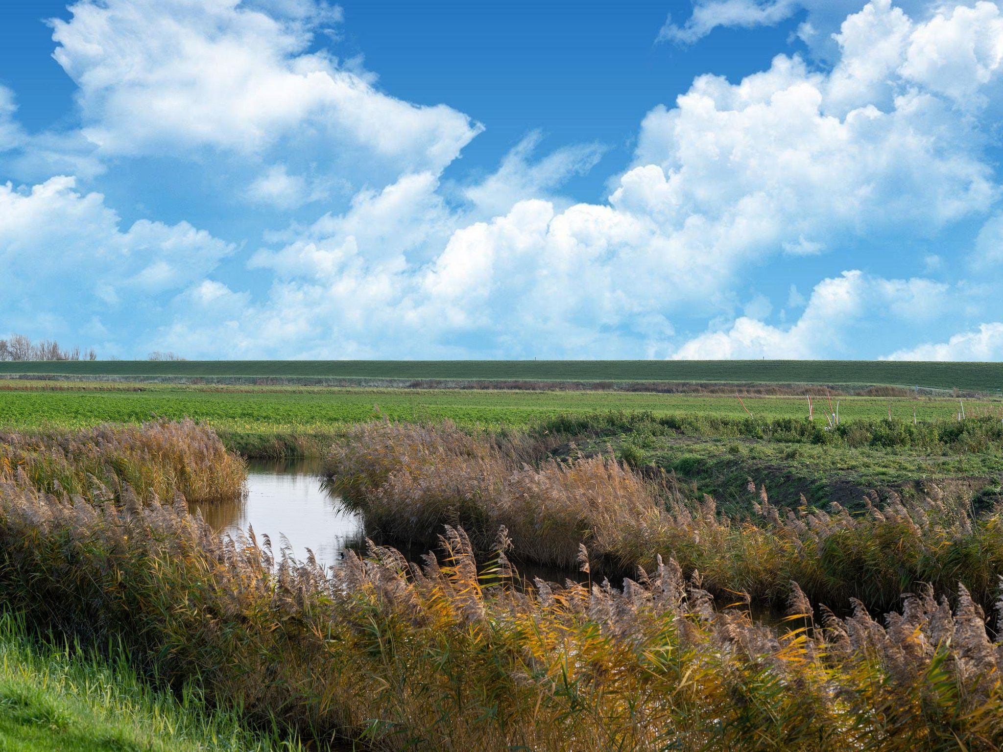 Gogge Huis NR 53 in Scherpenisse - Foto 33 van 40