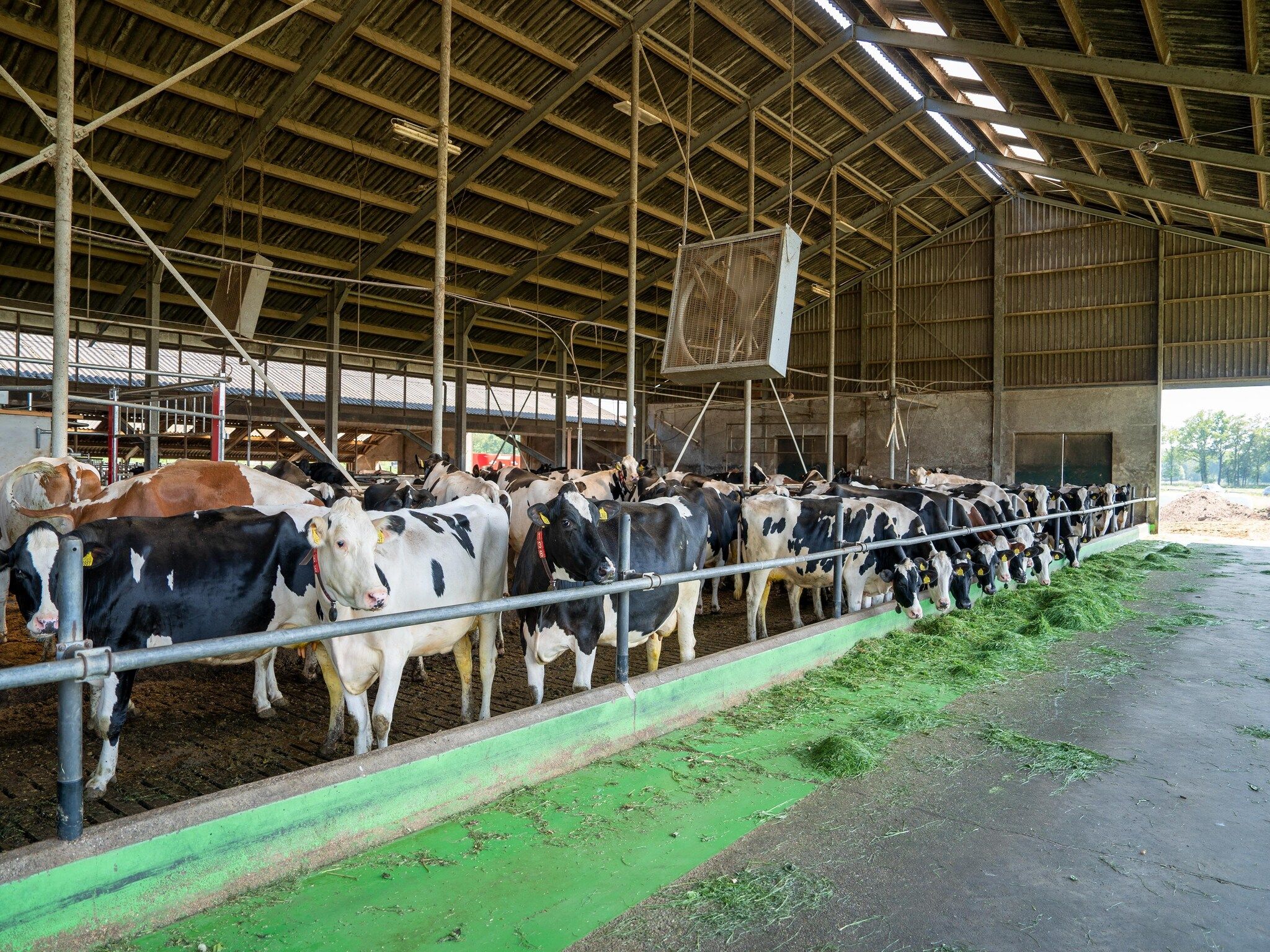 Sfeerbeeld van Vakantiewoning de Zwaluw in Eibergen