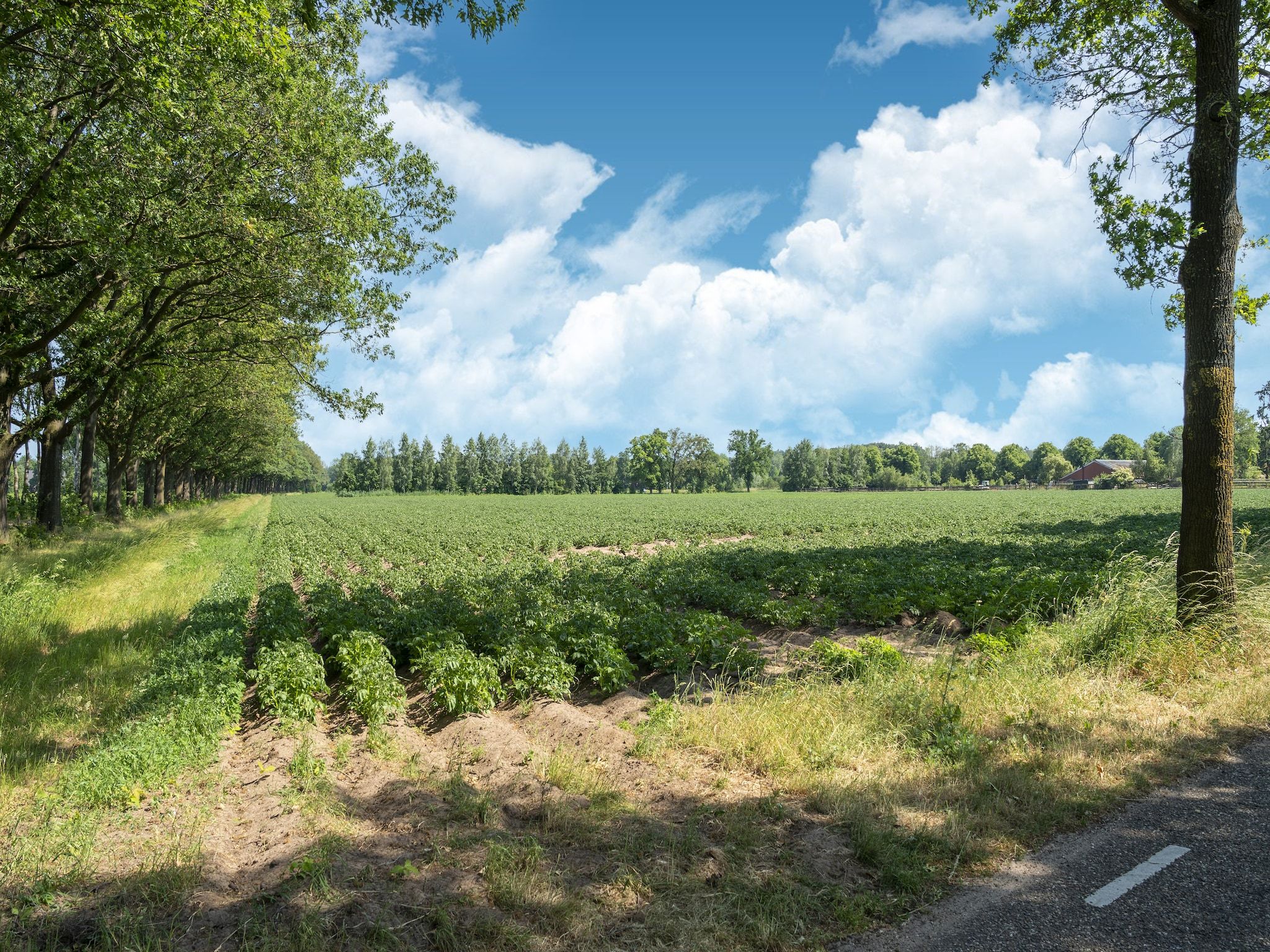 De omgeving van Vakantiewoning de Zwaluw in Eibergen
