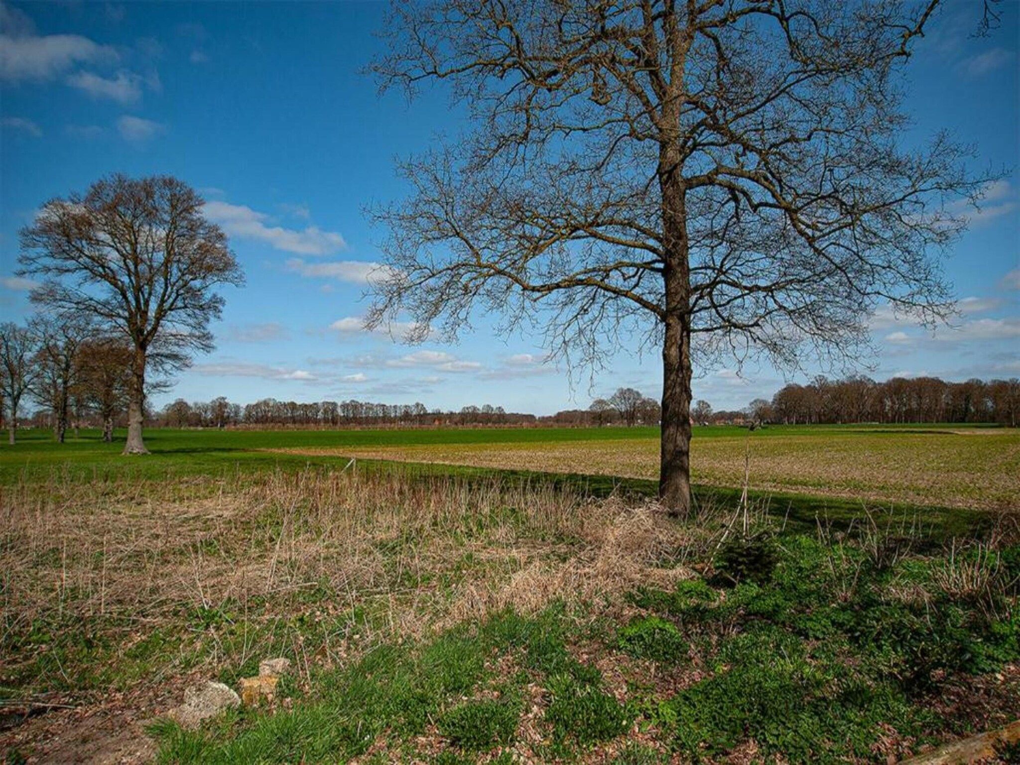 Vakantiewoning de Zwaluw in Eibergen - Foto 40 van 40