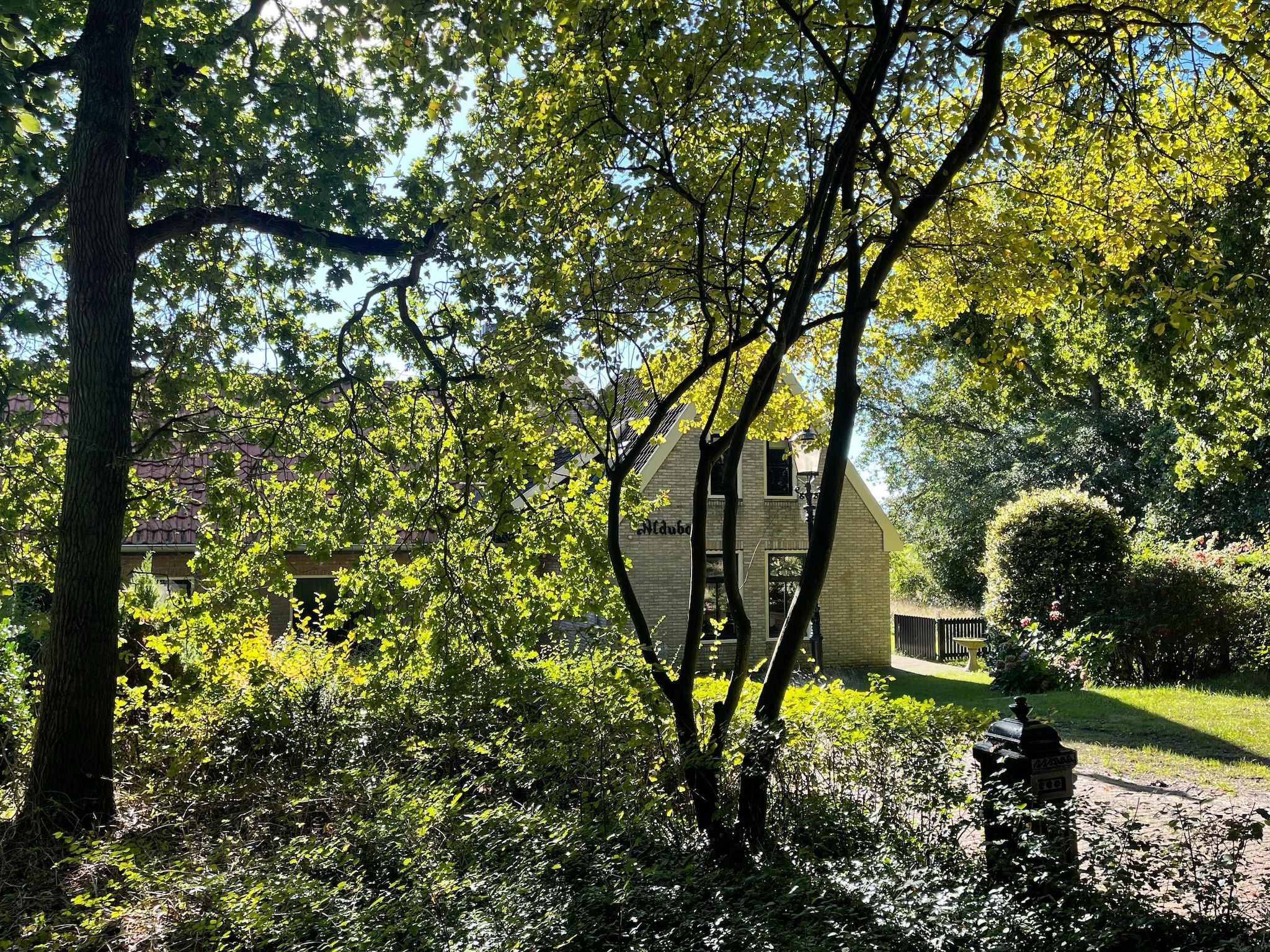 De tuin van Aldubo in Den Burg