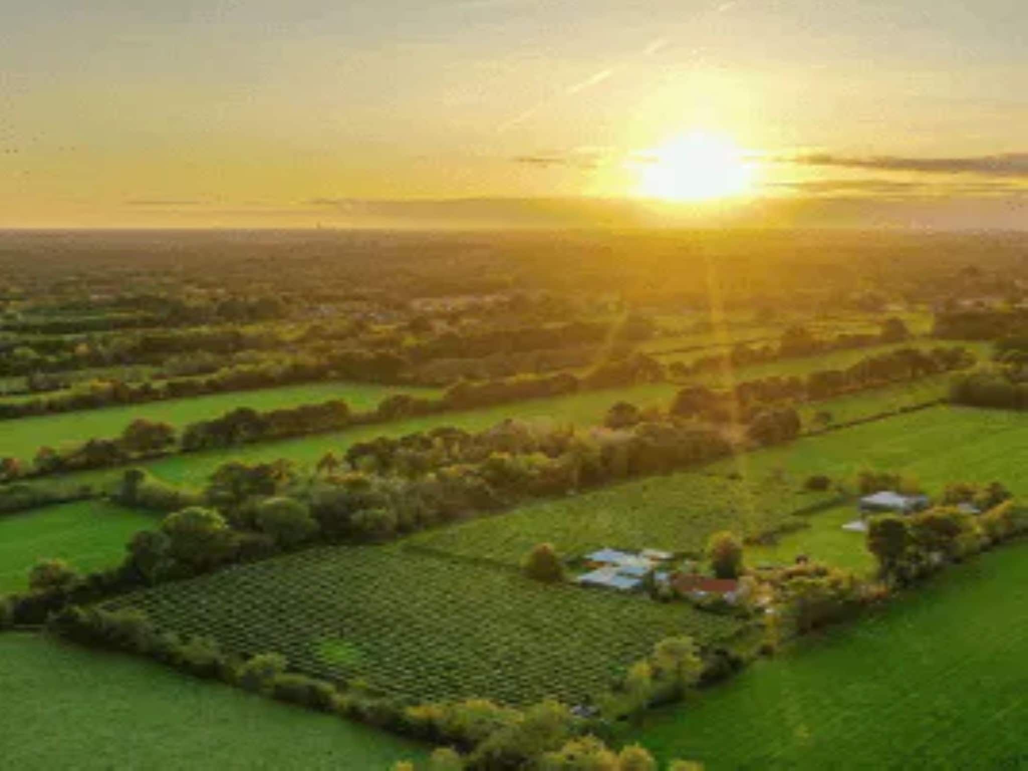 De omgeving van Glamour tent 'Smuk' in Twijzel