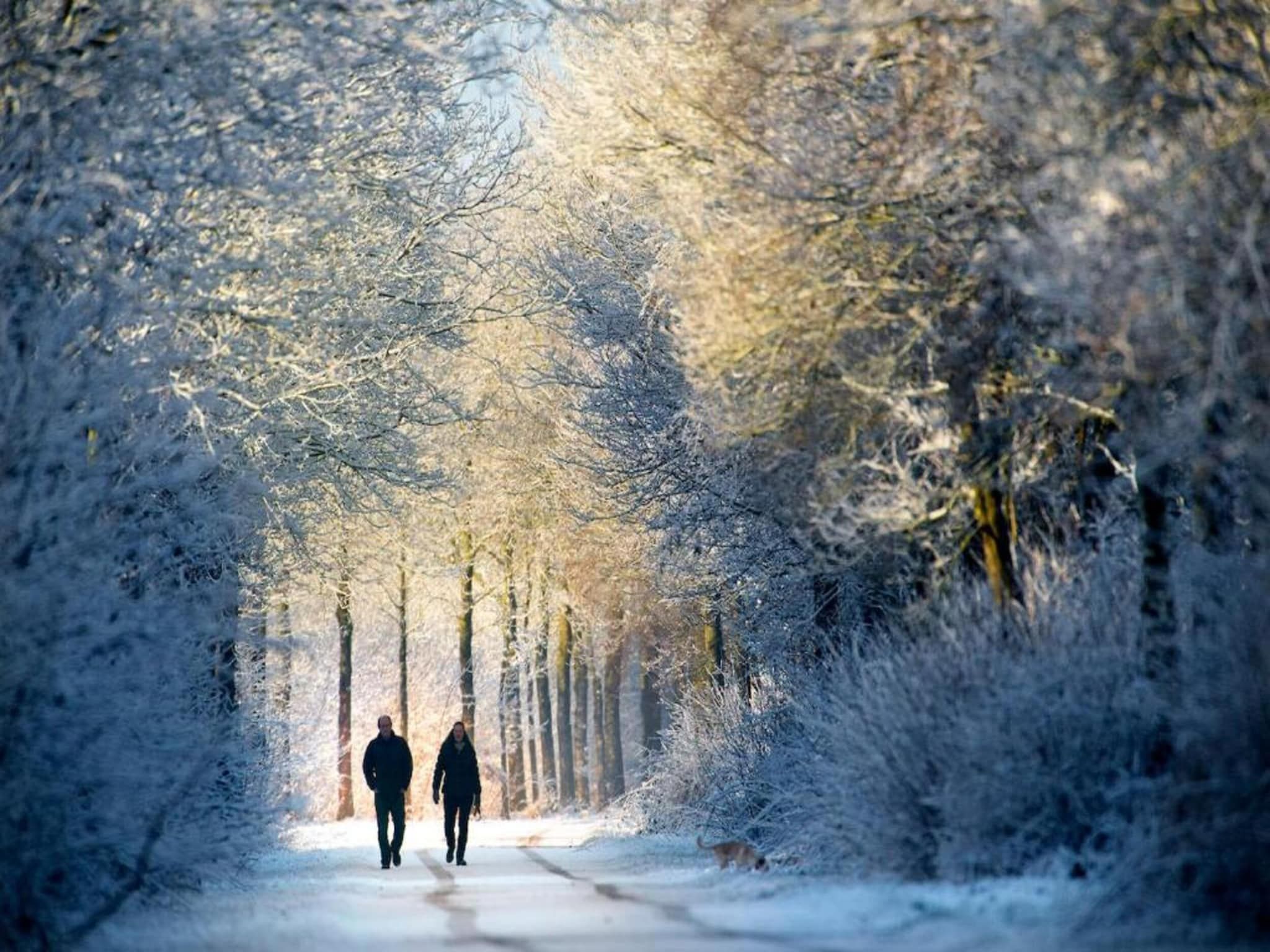 Glamour tent 'Smuk' in Twijzel - Foto 36 van 40