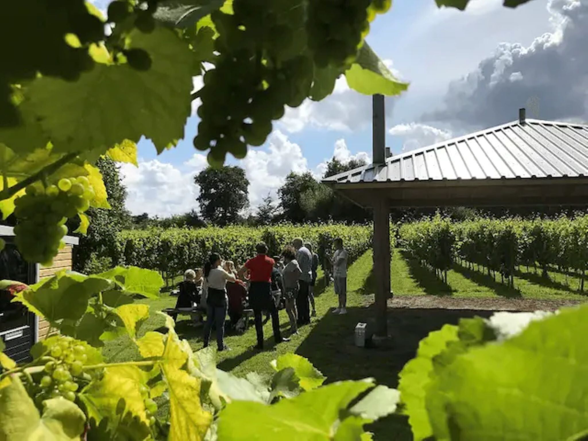 Twee safaritenten "Noflik" & "Gaadlik" naast elkaar in Twijzel - Foto 25 van 40