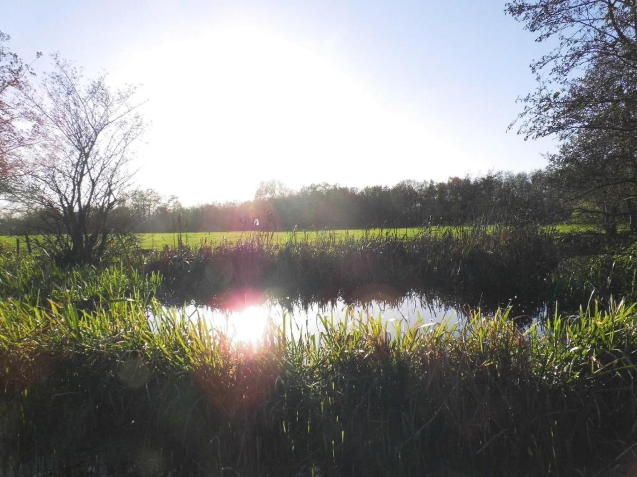 De omgeving van Twee safaritenten "Noflik" & "Gaadlik" naast elkaar in Twijzel