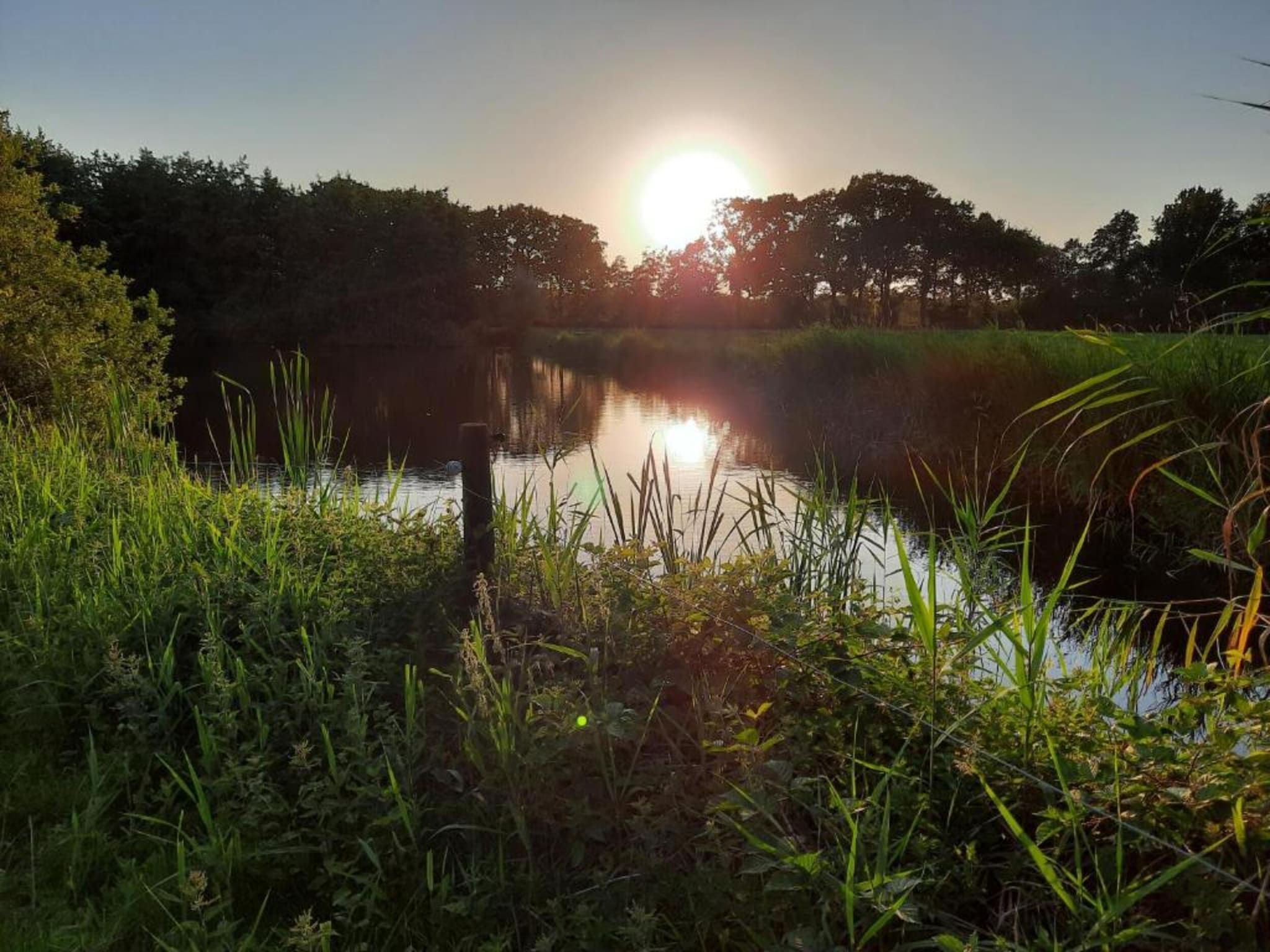 De omgeving van Twee safaritenten "Noflik" & "Gaadlik" naast elkaar in Twijzel