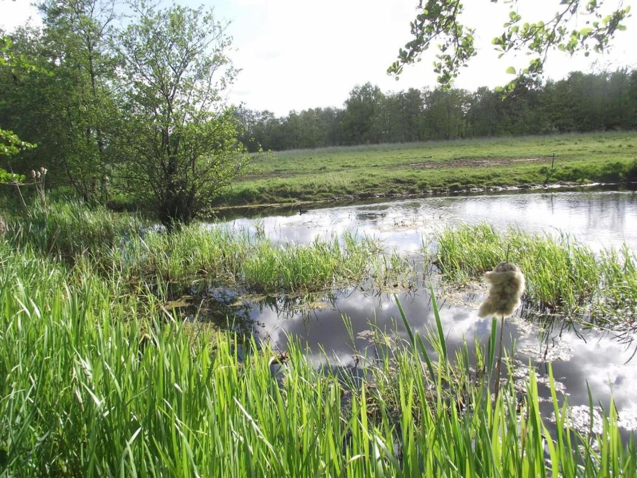 De omgeving van Twee safaritenten "Noflik" & "Gaadlik" naast elkaar in Twijzel