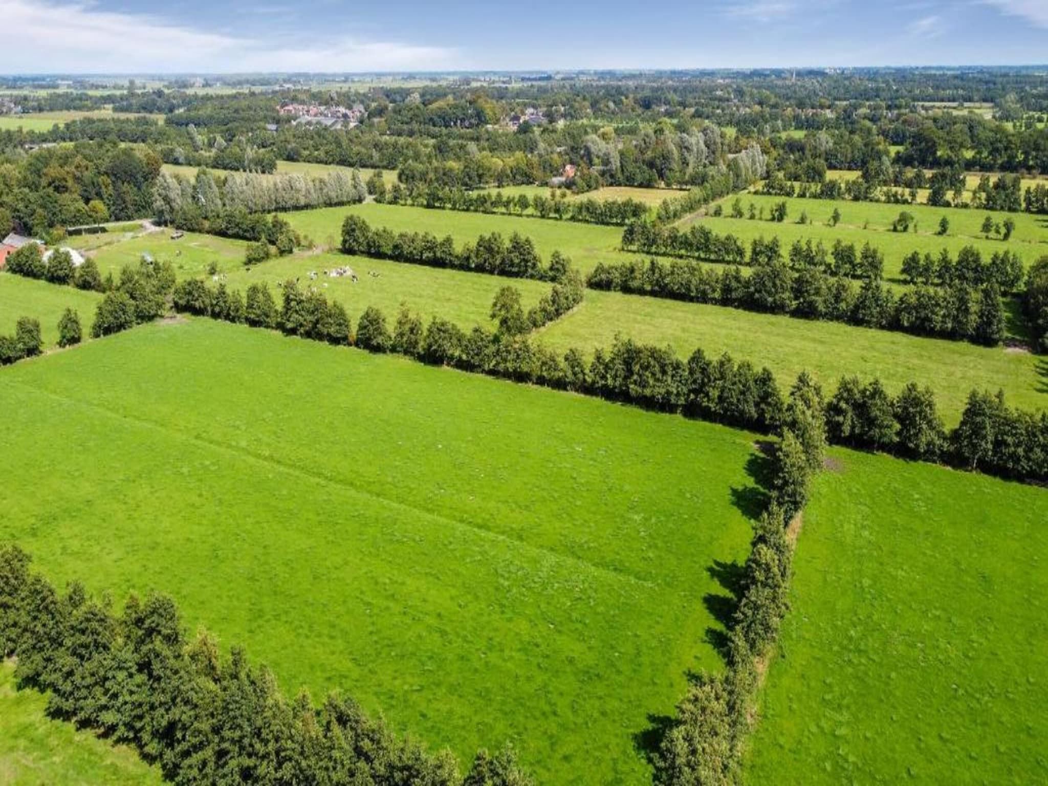 De omgeving van Twee safaritenten "Noflik" & "Gaadlik" naast elkaar in Twijzel