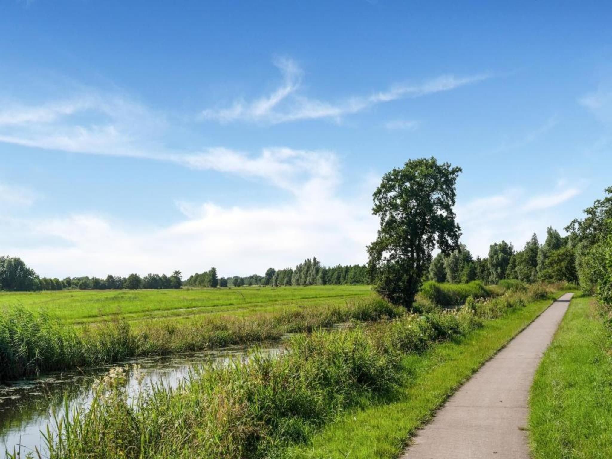 De omgeving van Twee safaritenten "Noflik" & "Gaadlik" naast elkaar in Twijzel