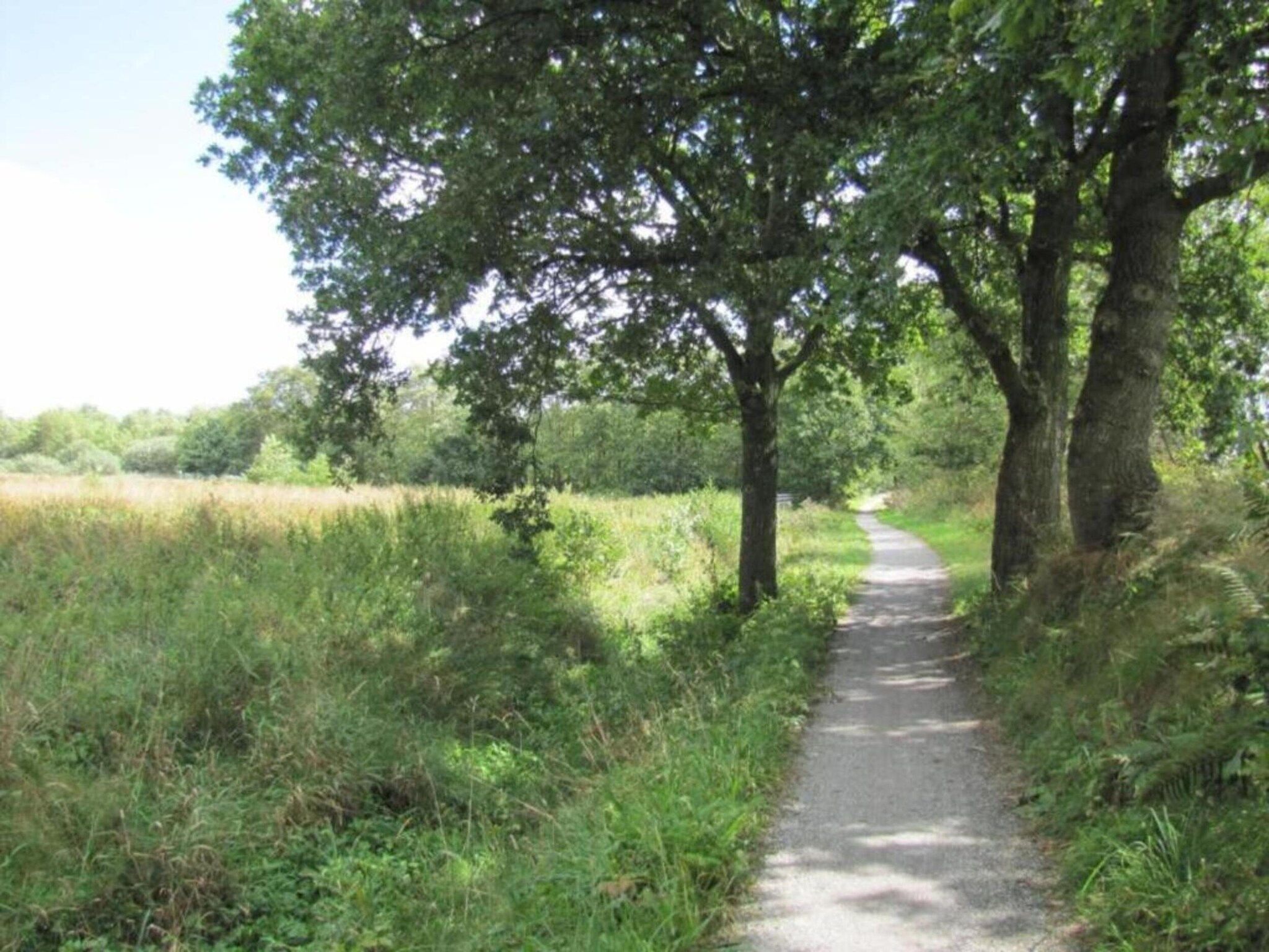 De omgeving van Twee safaritenten "Noflik" & "Gaadlik" naast elkaar in Twijzel