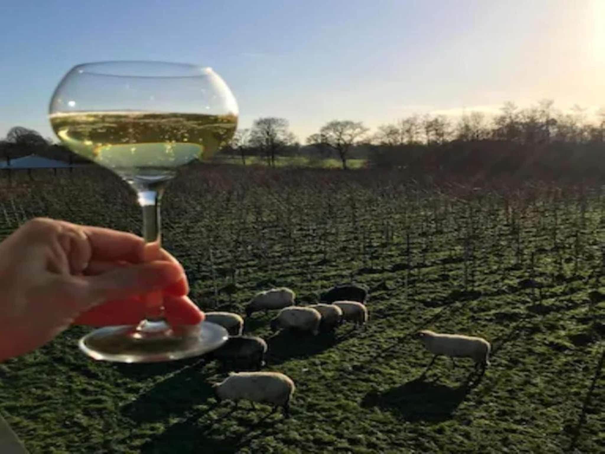 Twee Glamour tenten "Kreas" en "Smuk" naast elkaar in Twijzel - Foto 39 van 40