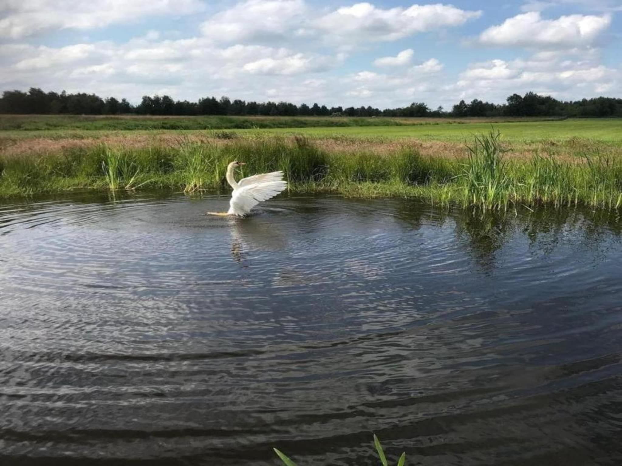 Luxe glamping met badkamer 2 in De Veenhoop - Foto 34 van 40