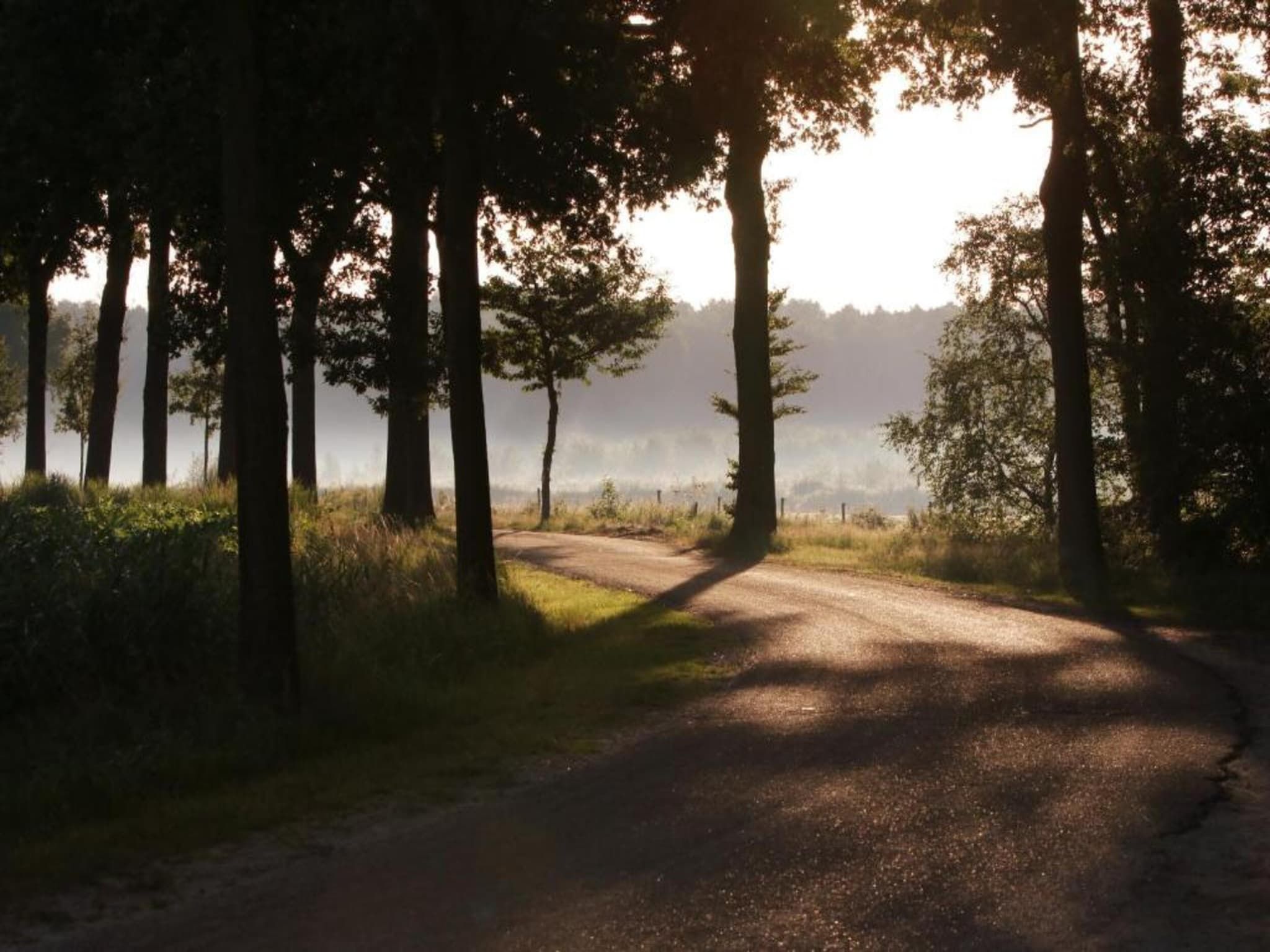 De omgeving van Bospark 't Wolfsven 19 in Mierlo