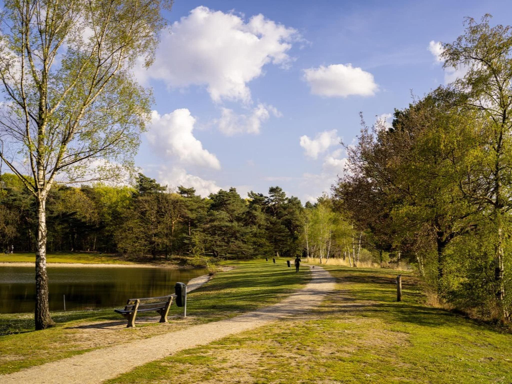 Parkfaciliteiten bij Bospark 't Wolfsven 20 in Mierlo