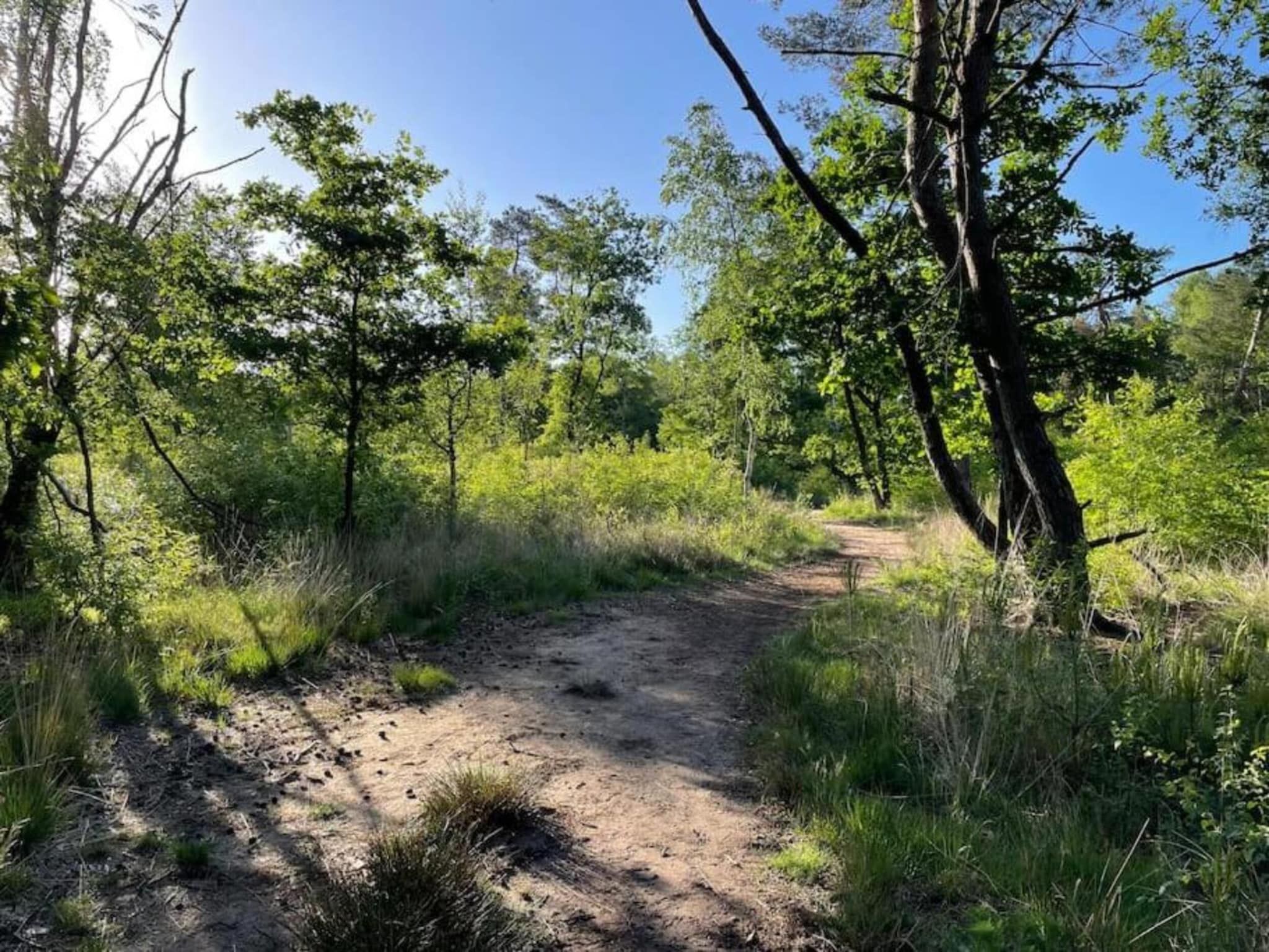 Vakantiepark De Rimboe & De Woeste Hoogte 40 in Hoenderloo - Foto 38 van 40