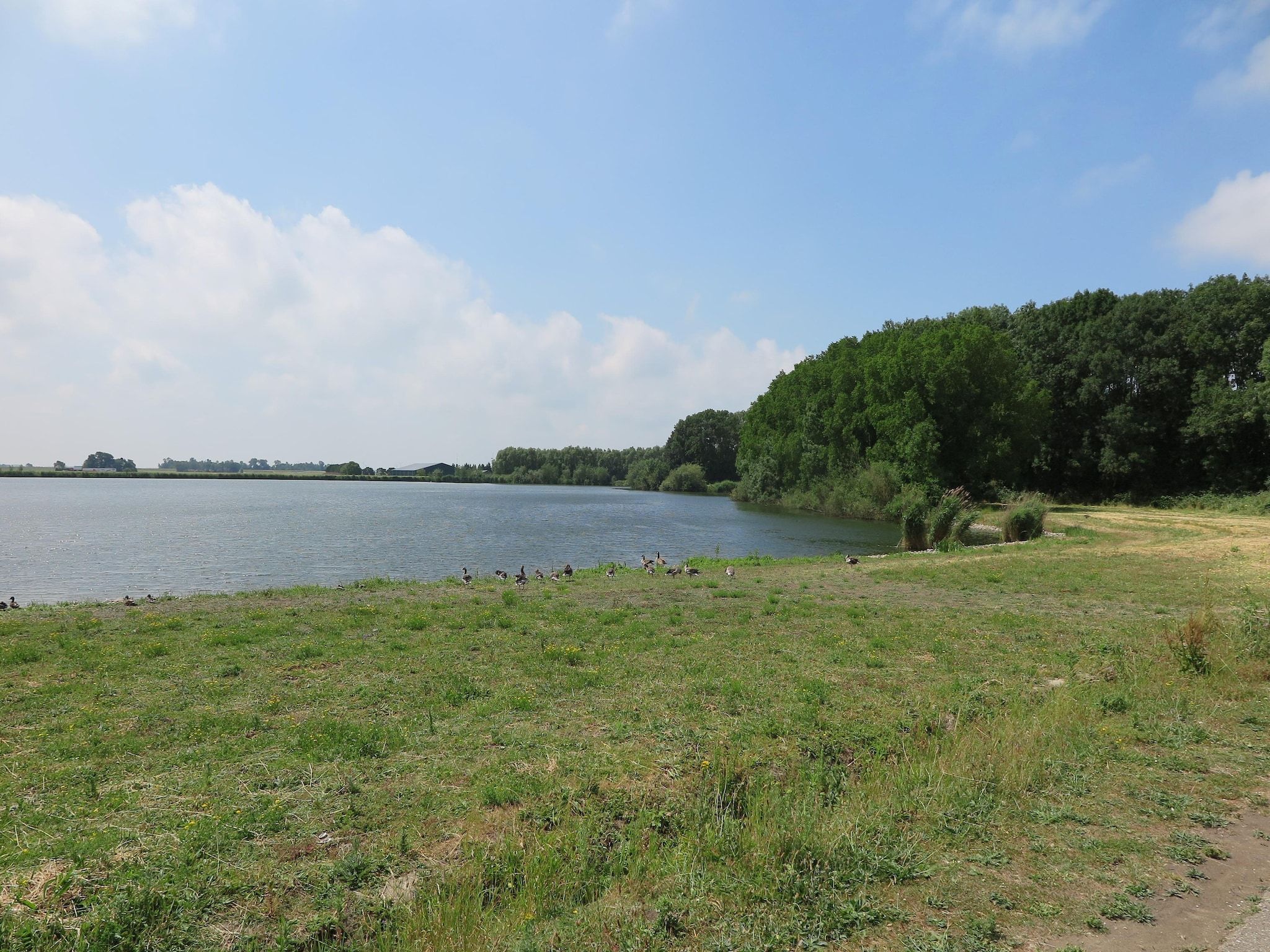De omgeving van Lake view villa met zwem- vissteiger in Simonshaven