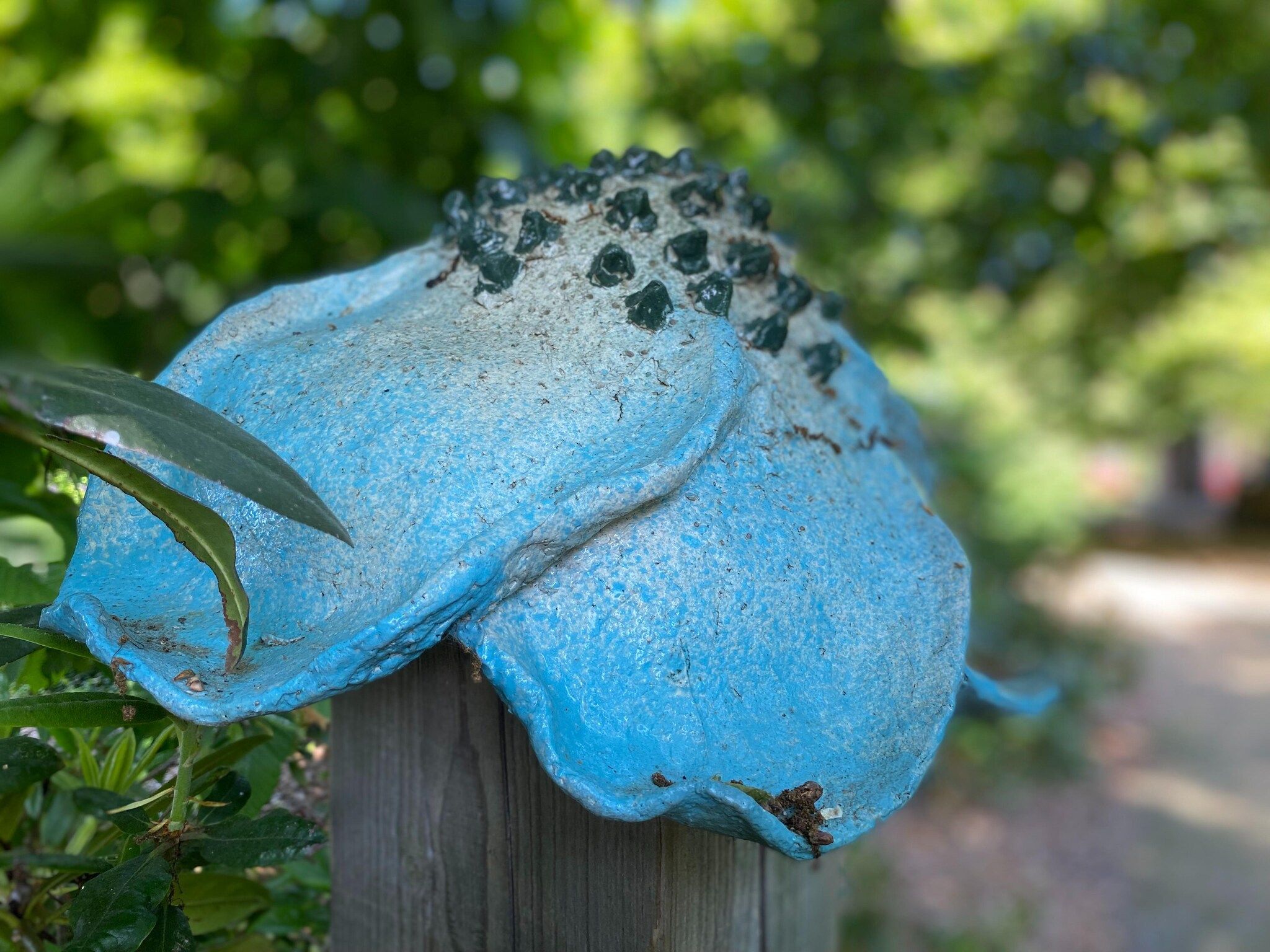 Sfeerbeeld van Dorpswoning Het Tolhuis in Leende