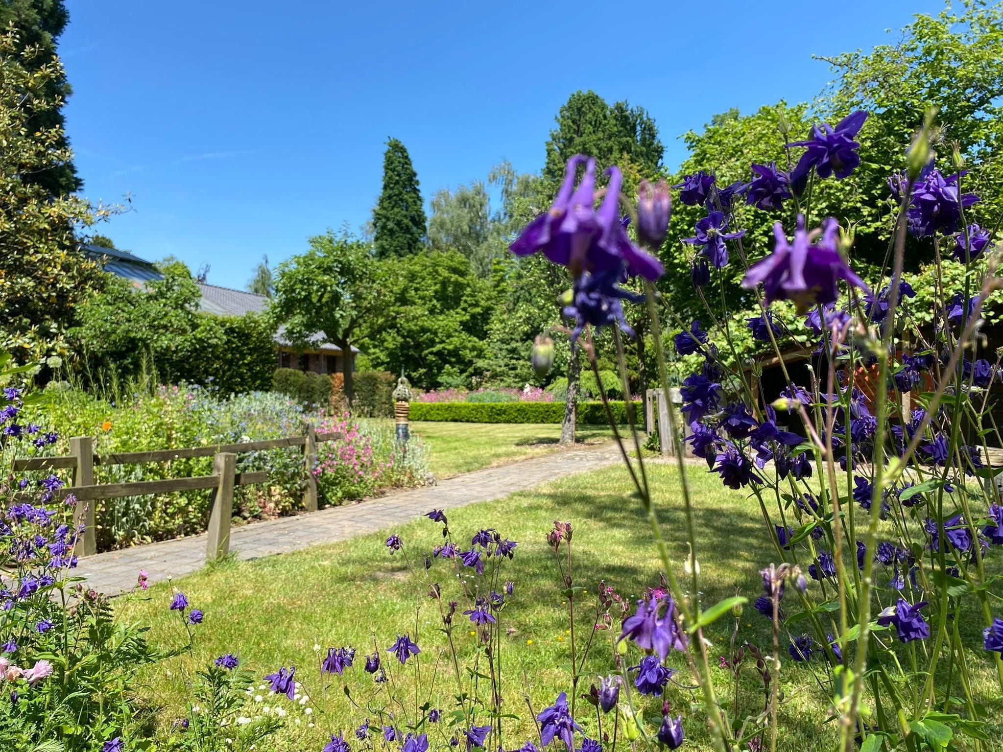De tuin van Dorpswoning Het Tolhuis in Leende