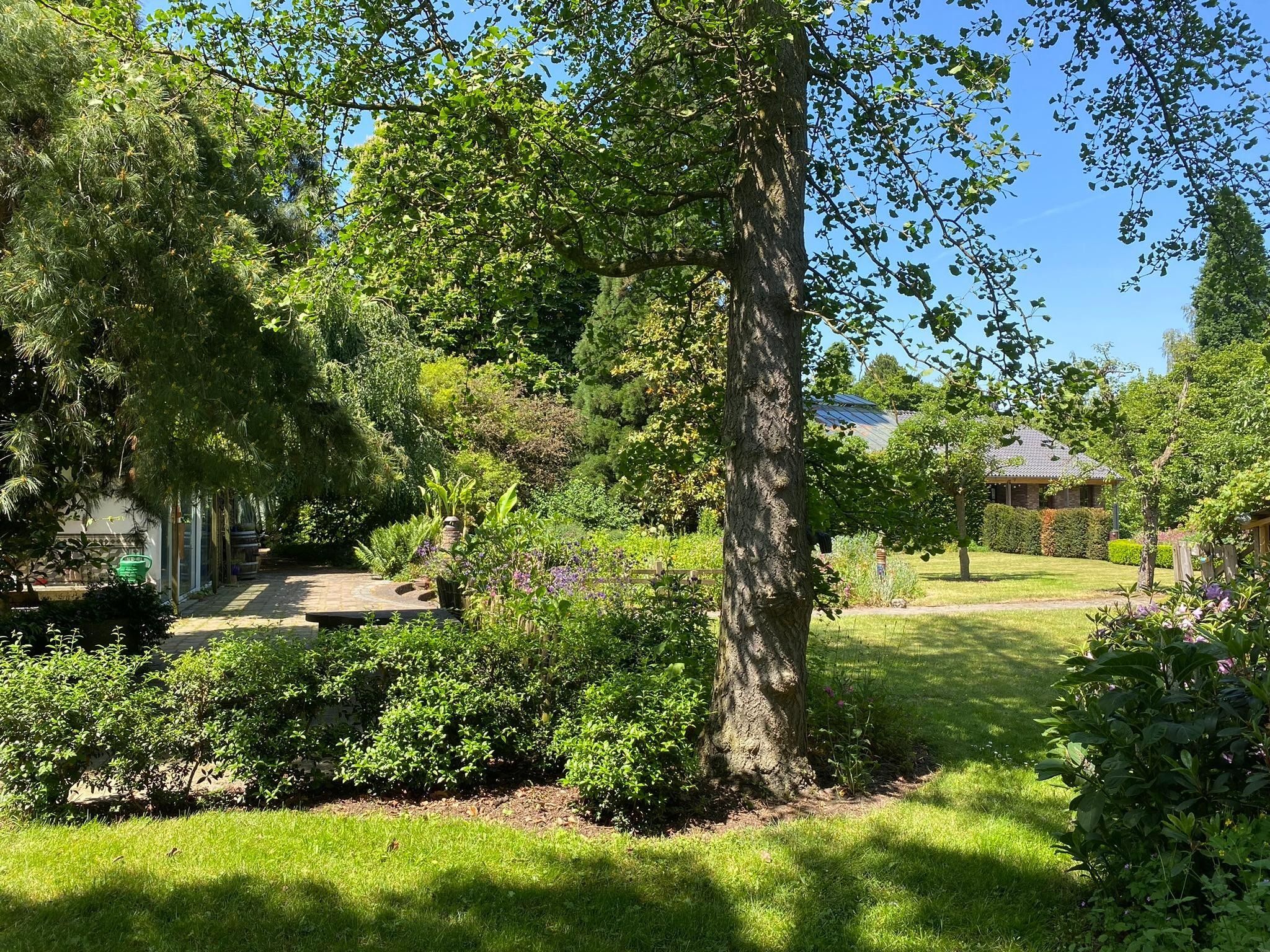 Het terras van Dorpswoning Het Tolhuis in Leende
