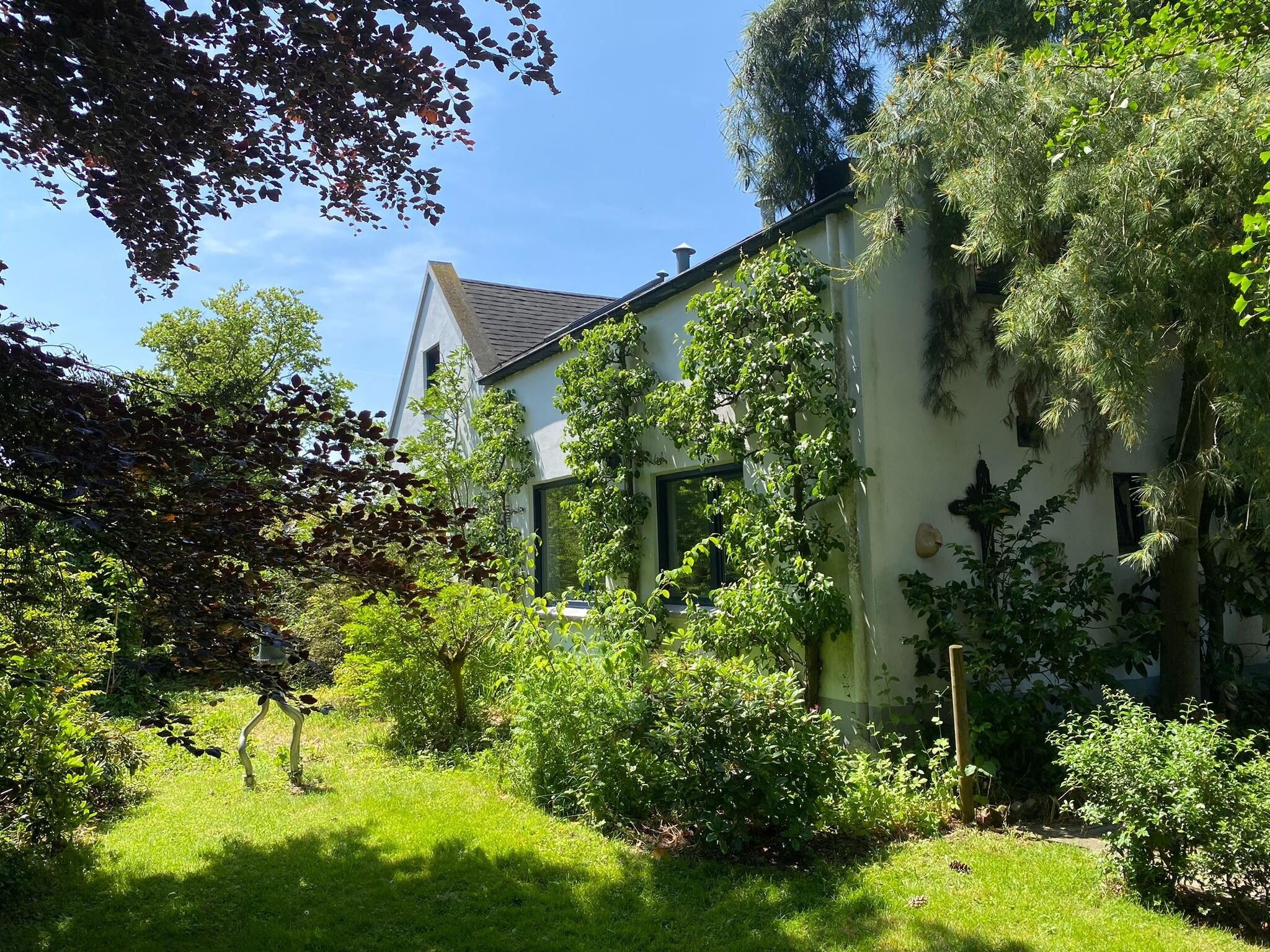 De tuin van Dorpswoning Het Tolhuis in Leende