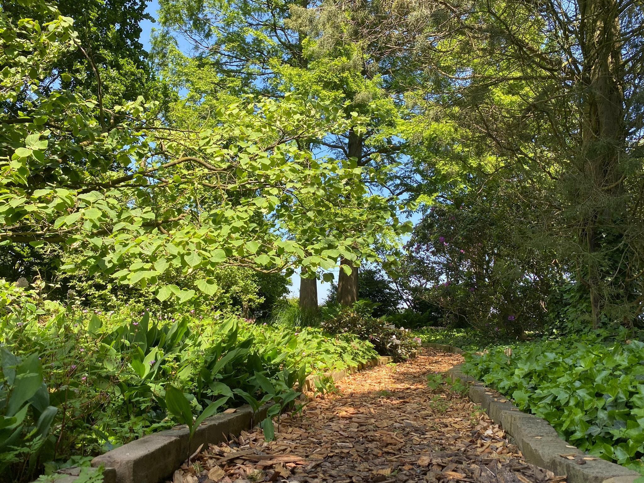 De buitenkant van Dorpswoning Het Tolhuis in Leende