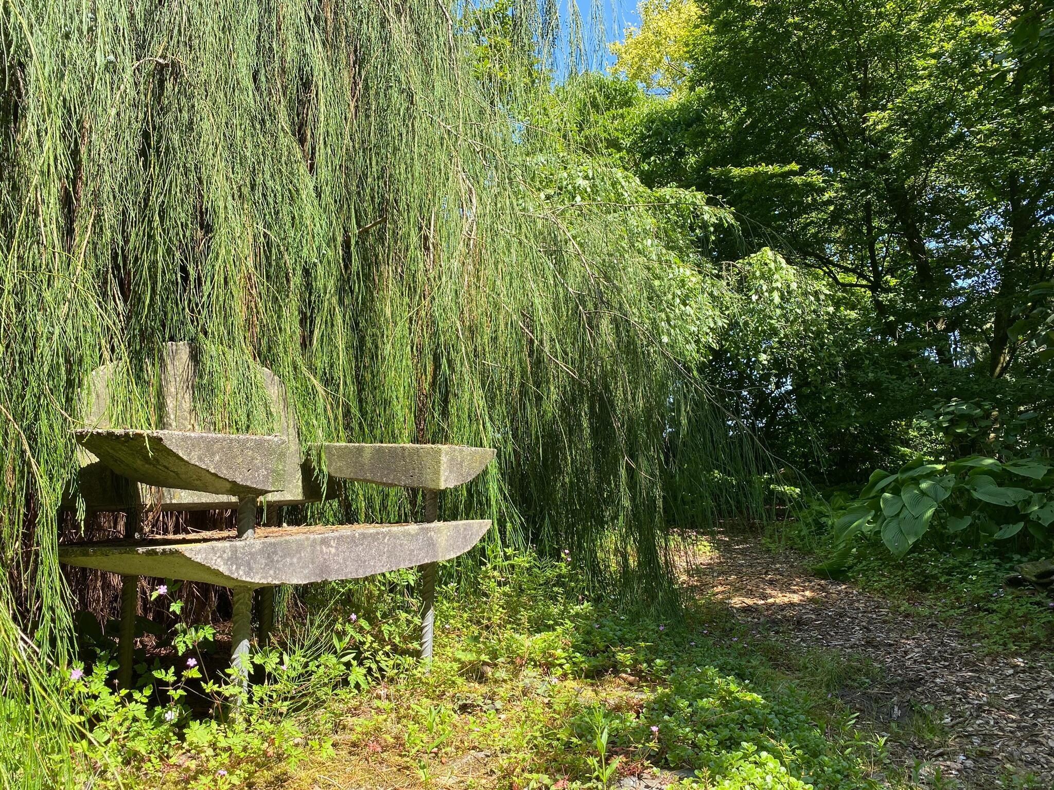 De buitenkant van Dorpswoning Het Tolhuis in Leende